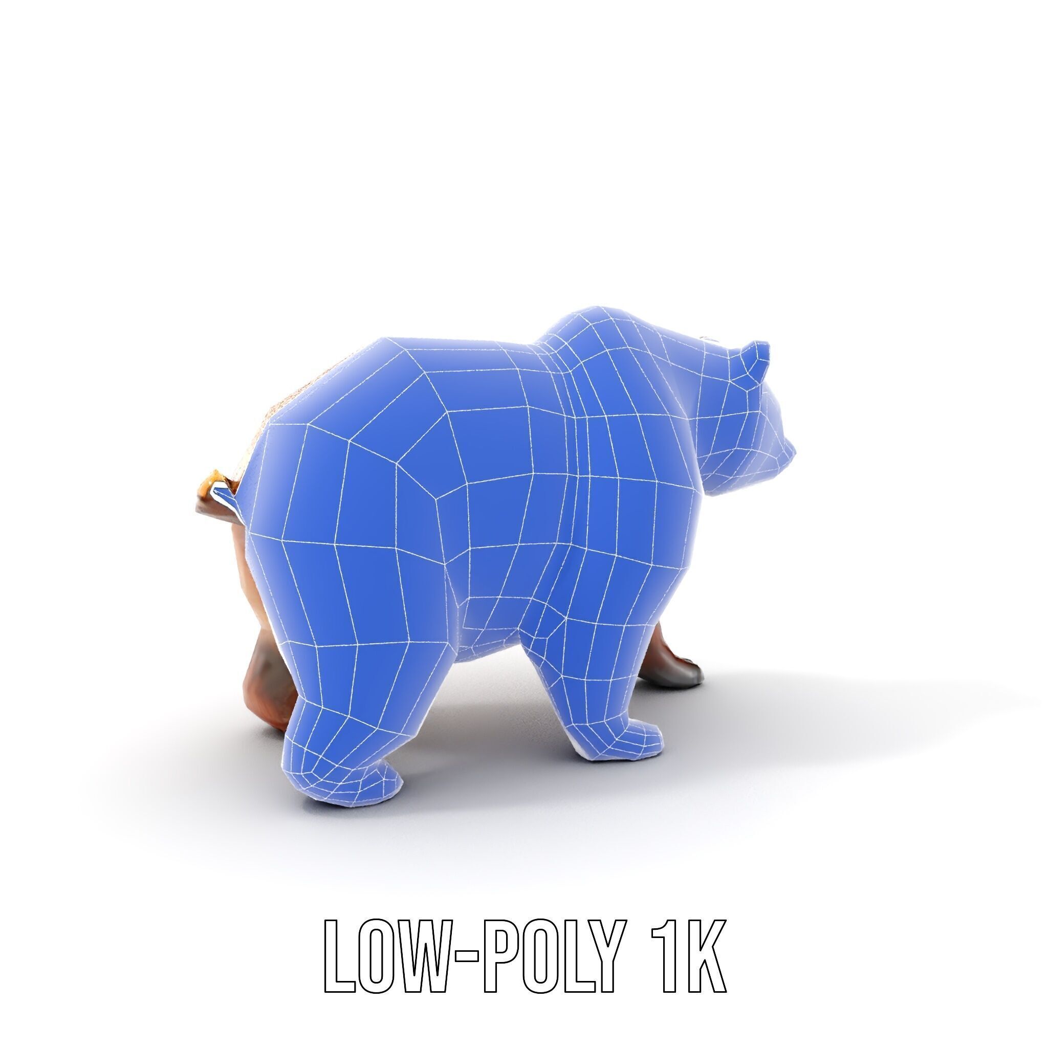 Realistic Bear Model Pack with Diverse Level of Detail Low-poly 3D model_16