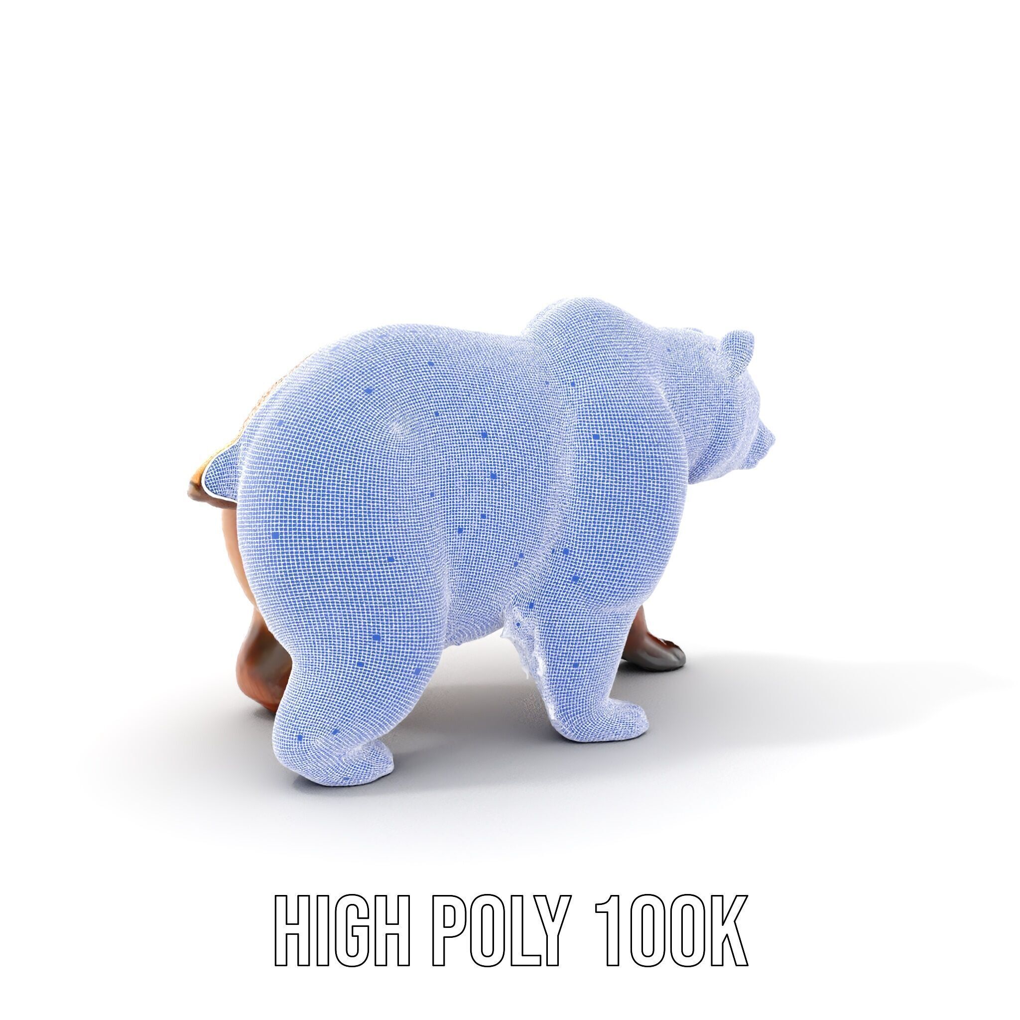 Realistic Bear Model Pack with Diverse Level of Detail Low-poly 3D model_4