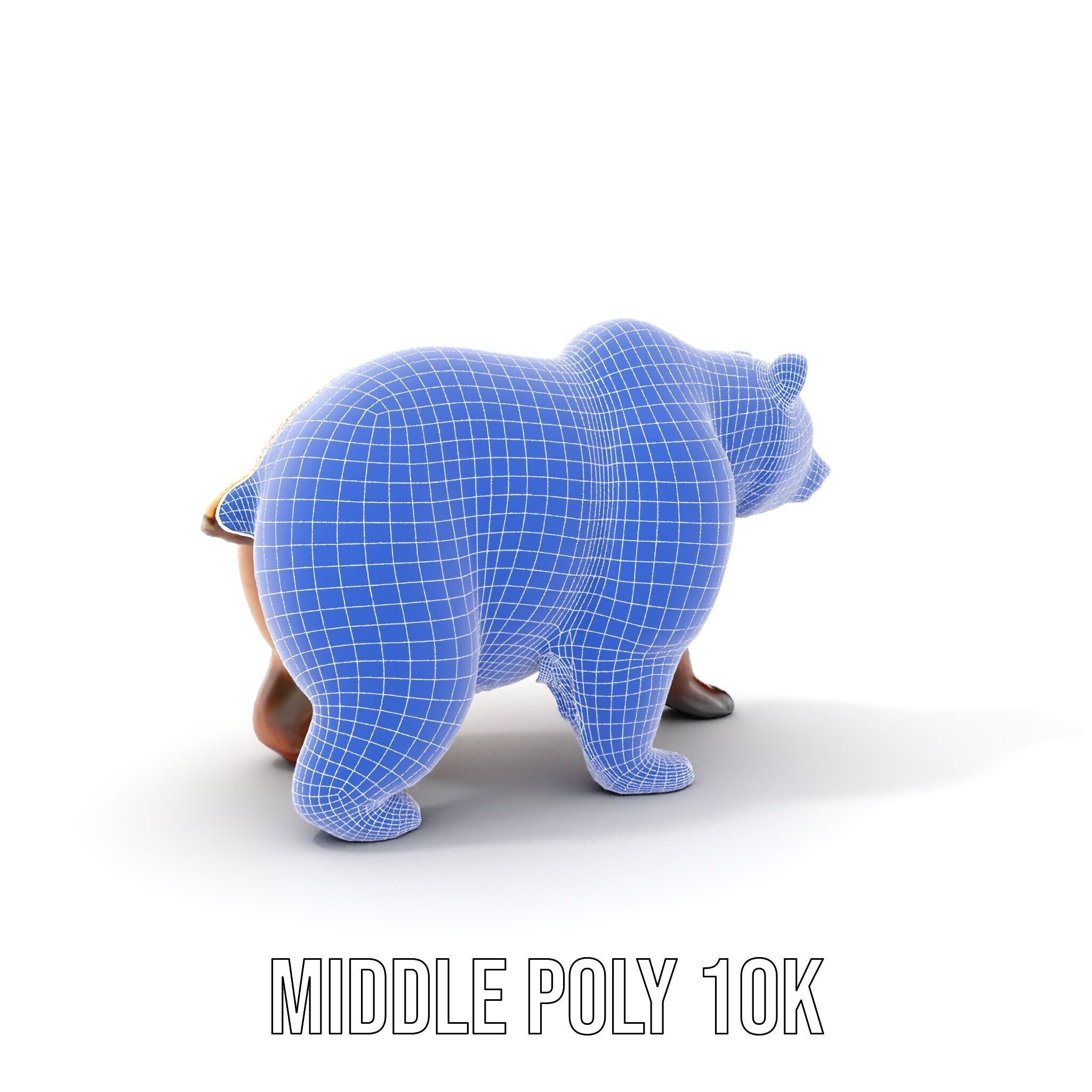 Realistic Bear Model Pack with Diverse Level of Detail Low-poly 3D model_6