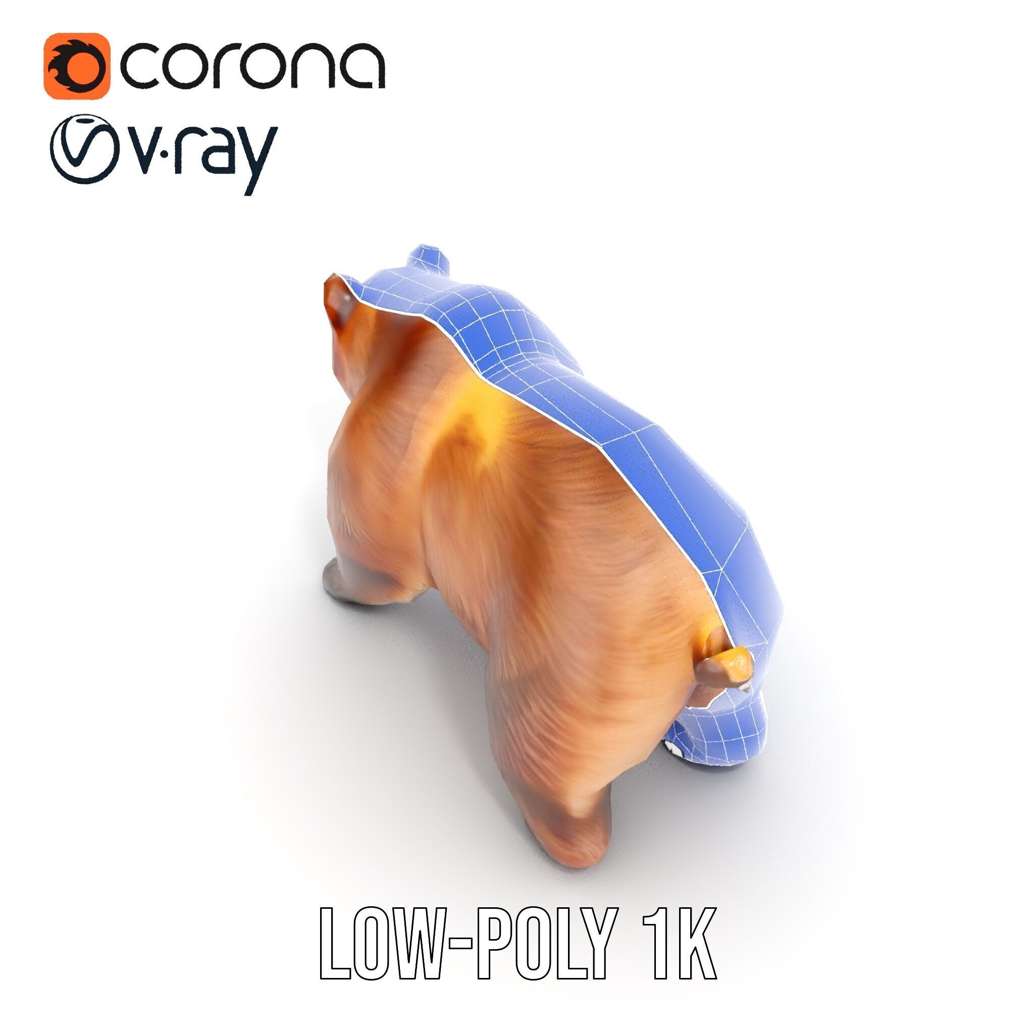 Realistic Bear Model Pack with Diverse Level of Detail Low-poly 3D model_23