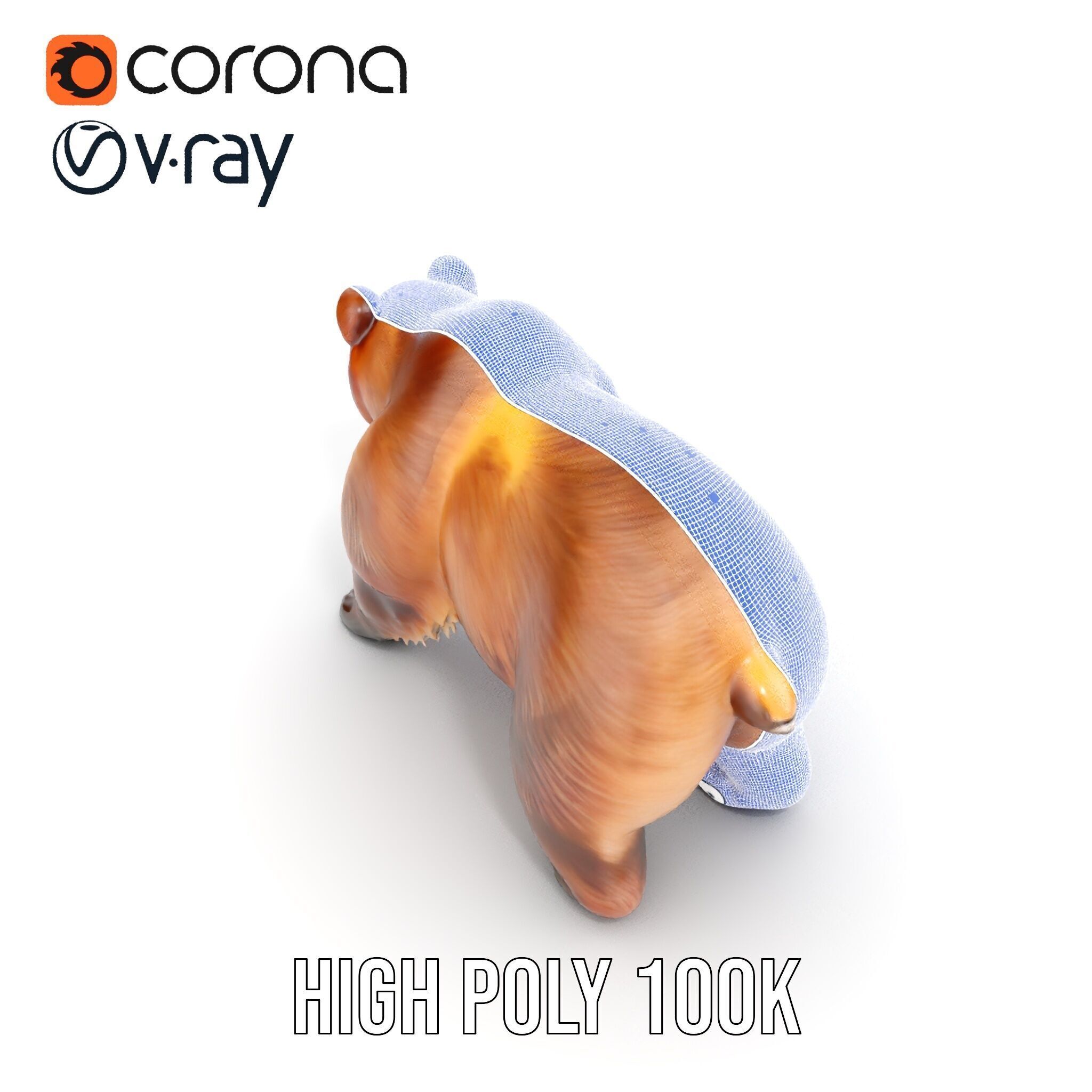 Realistic Bear Model Pack with Diverse Level of Detail Low-poly 3D model_37