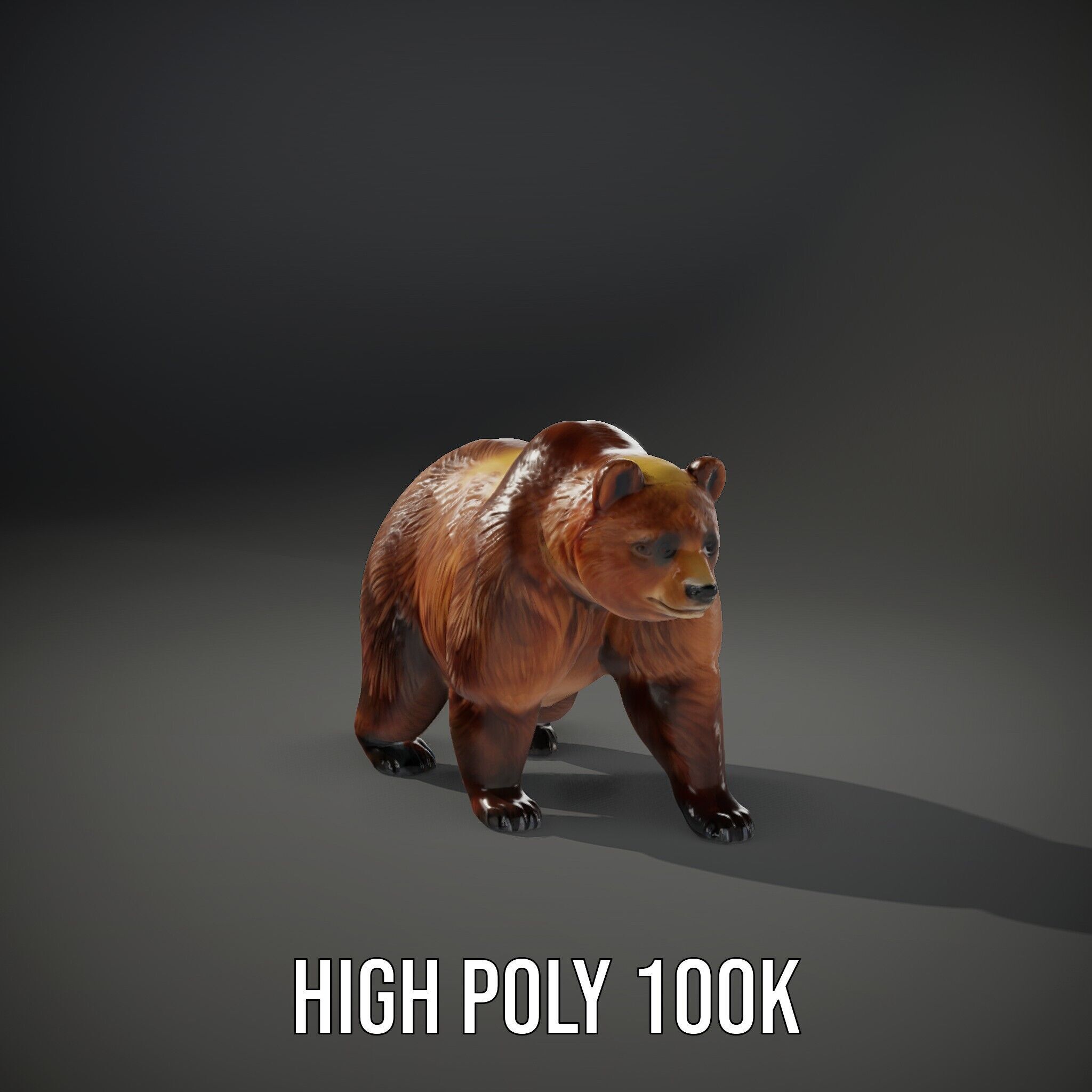 Realistic Bear Model Pack with Diverse Level of Detail Low-poly 3D model_14