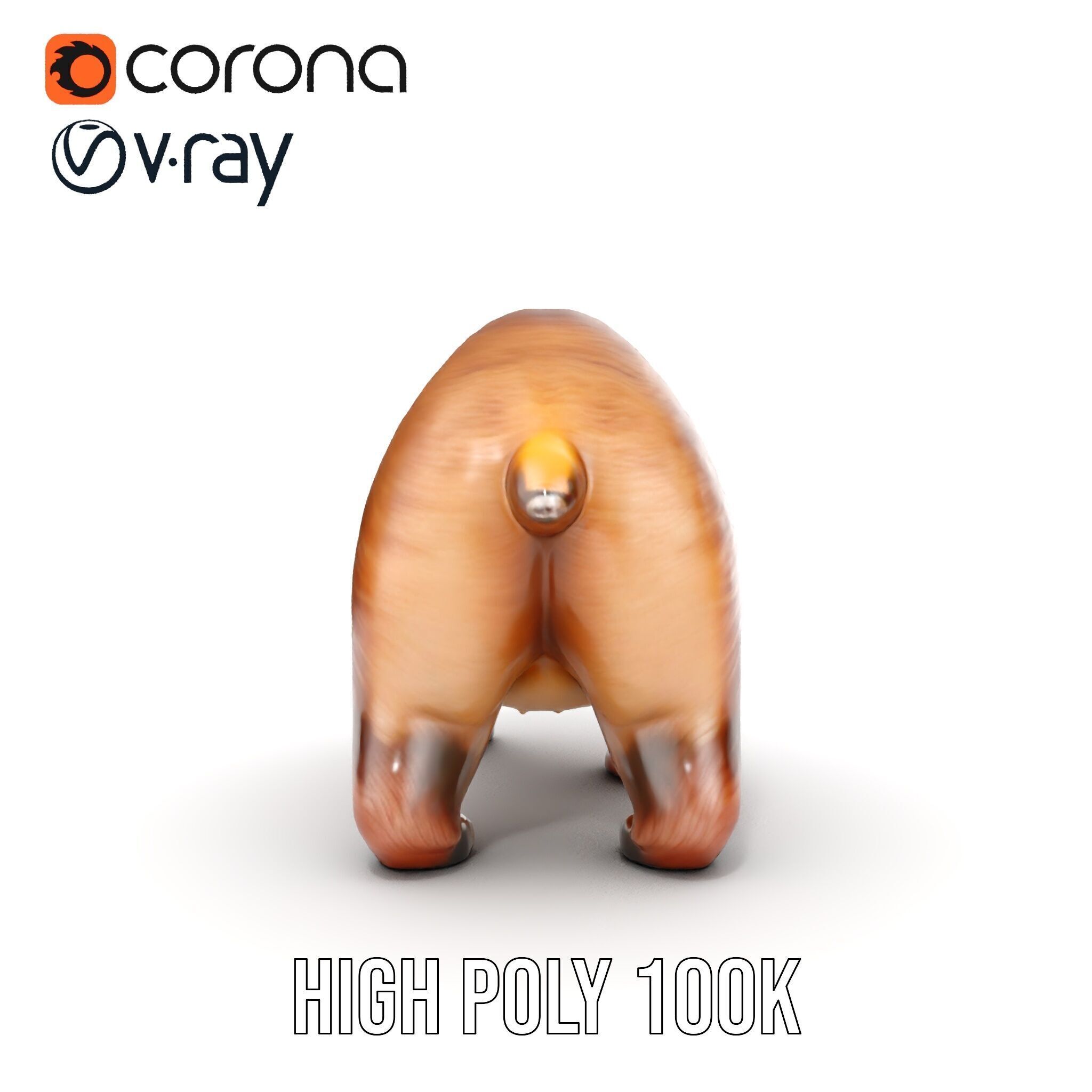 Realistic Bear Model Pack with Diverse Level of Detail Low-poly 3D model_24