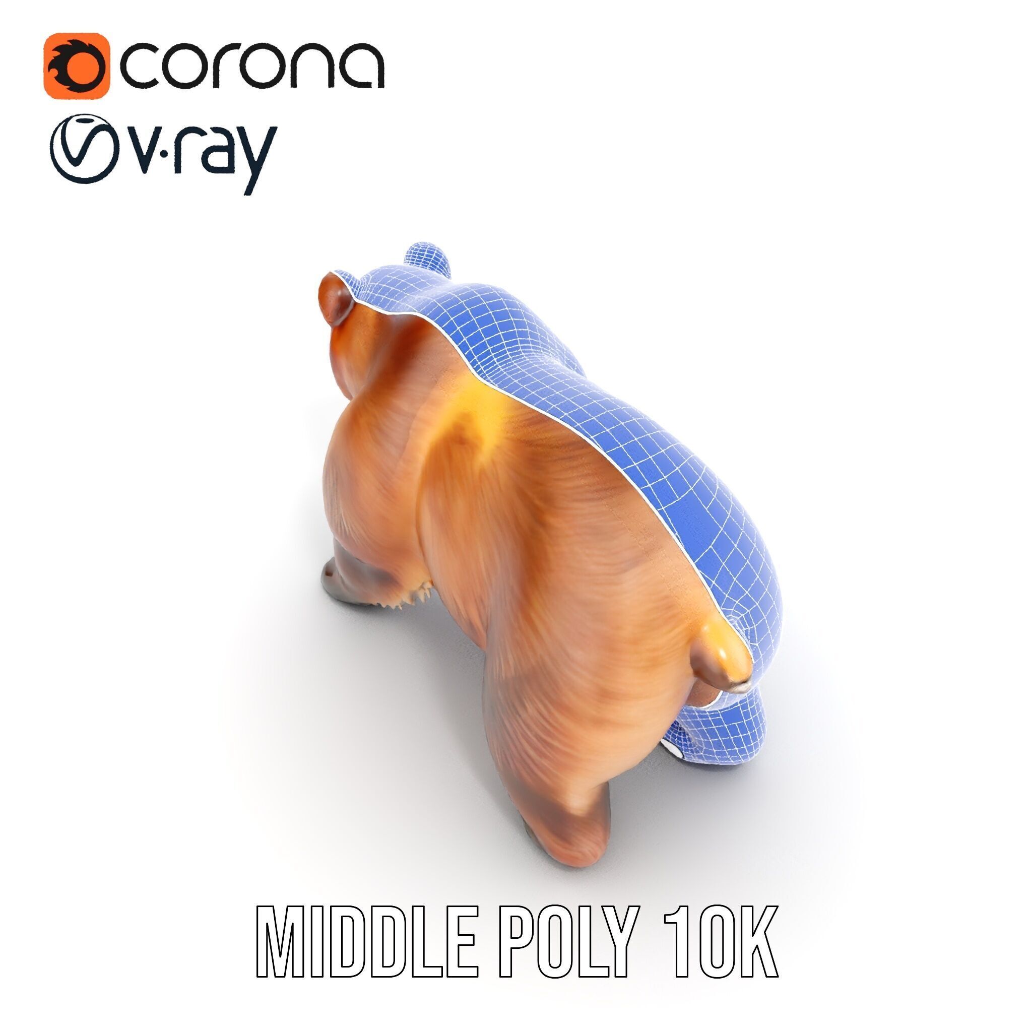 Realistic Bear Model Pack with Diverse Level of Detail Low-poly 3D model_28