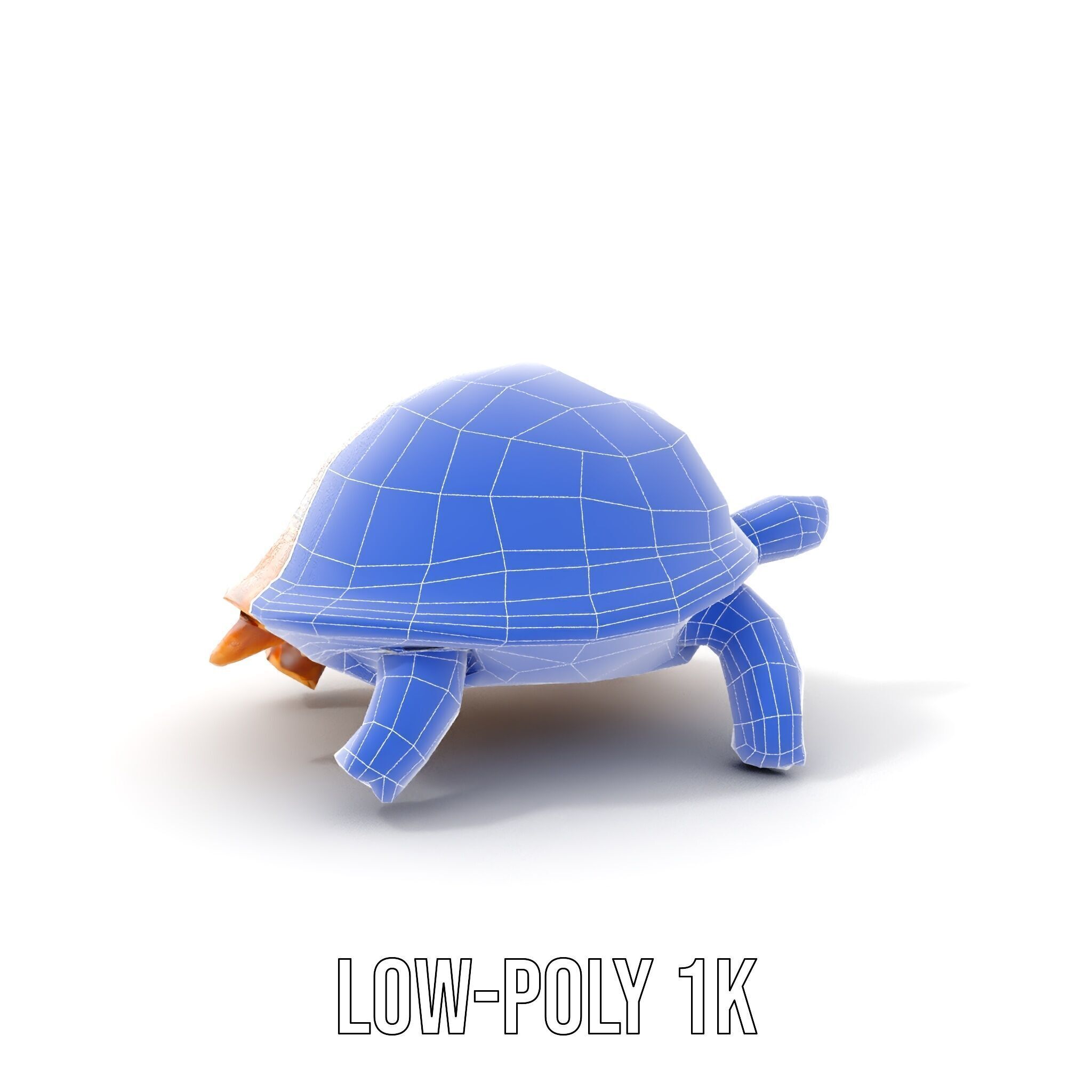 Realistic Tortoise D Model Pack with Detailed Textures Low-poly 3D model_11