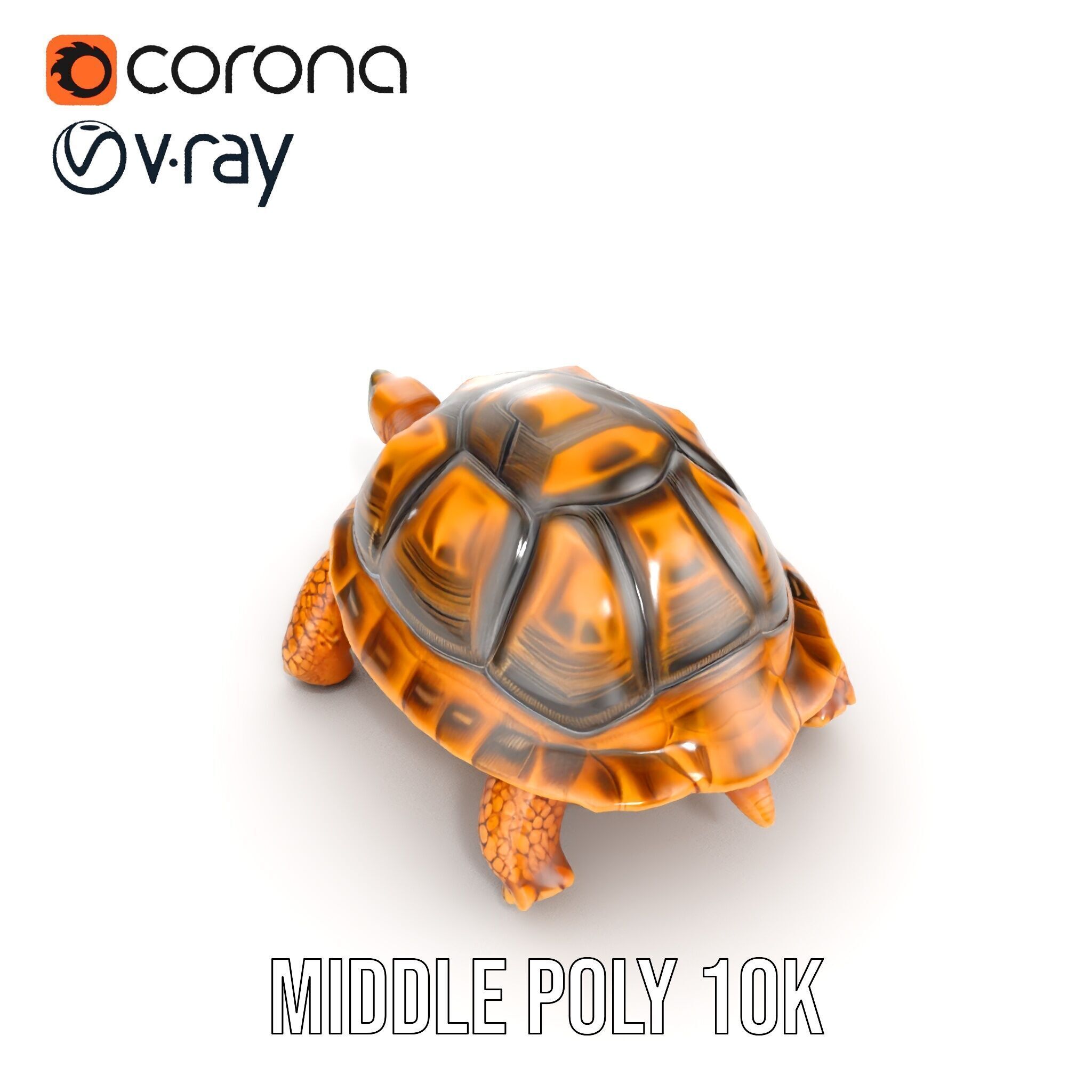 Realistic Tortoise D Model Pack with Detailed Textures Low-poly 3D model_20