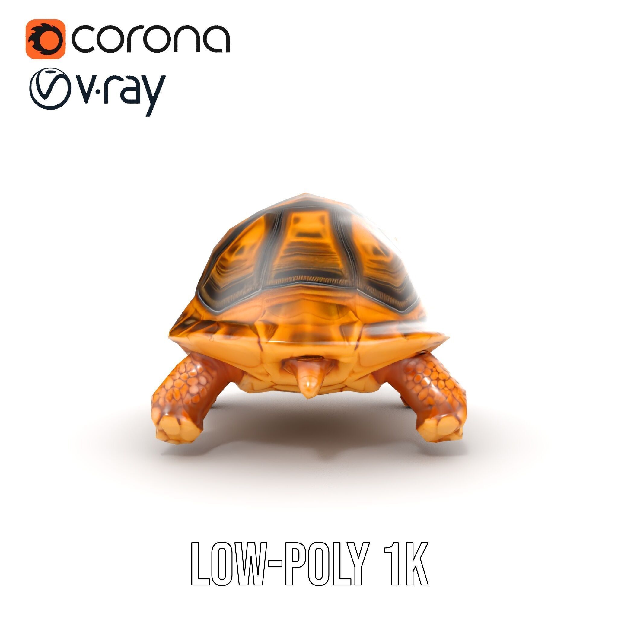 Realistic Tortoise D Model Pack with Detailed Textures Low-poly 3D model_32