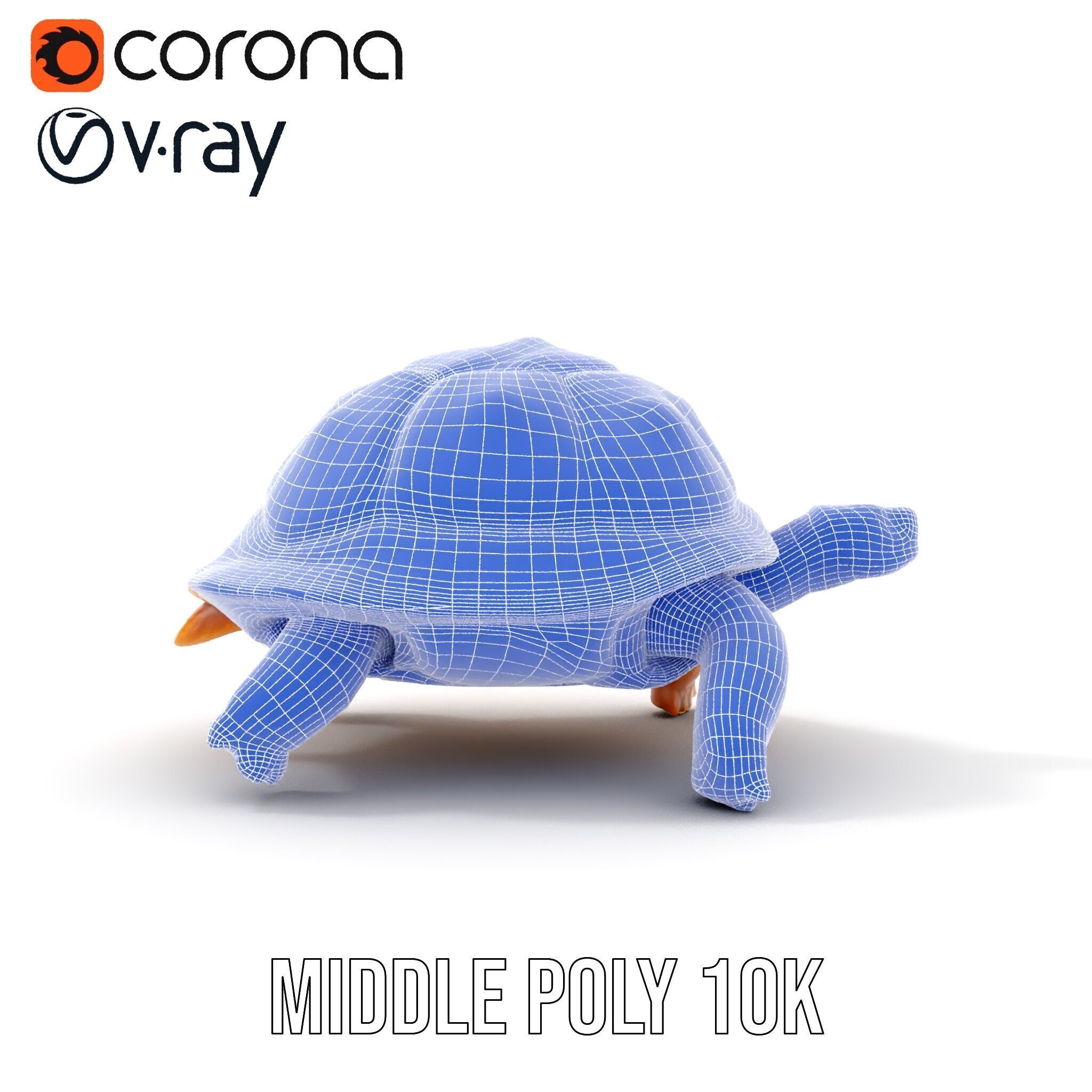 Realistic Tortoise D Model Pack with Detailed Textures Low-poly 3D model_28