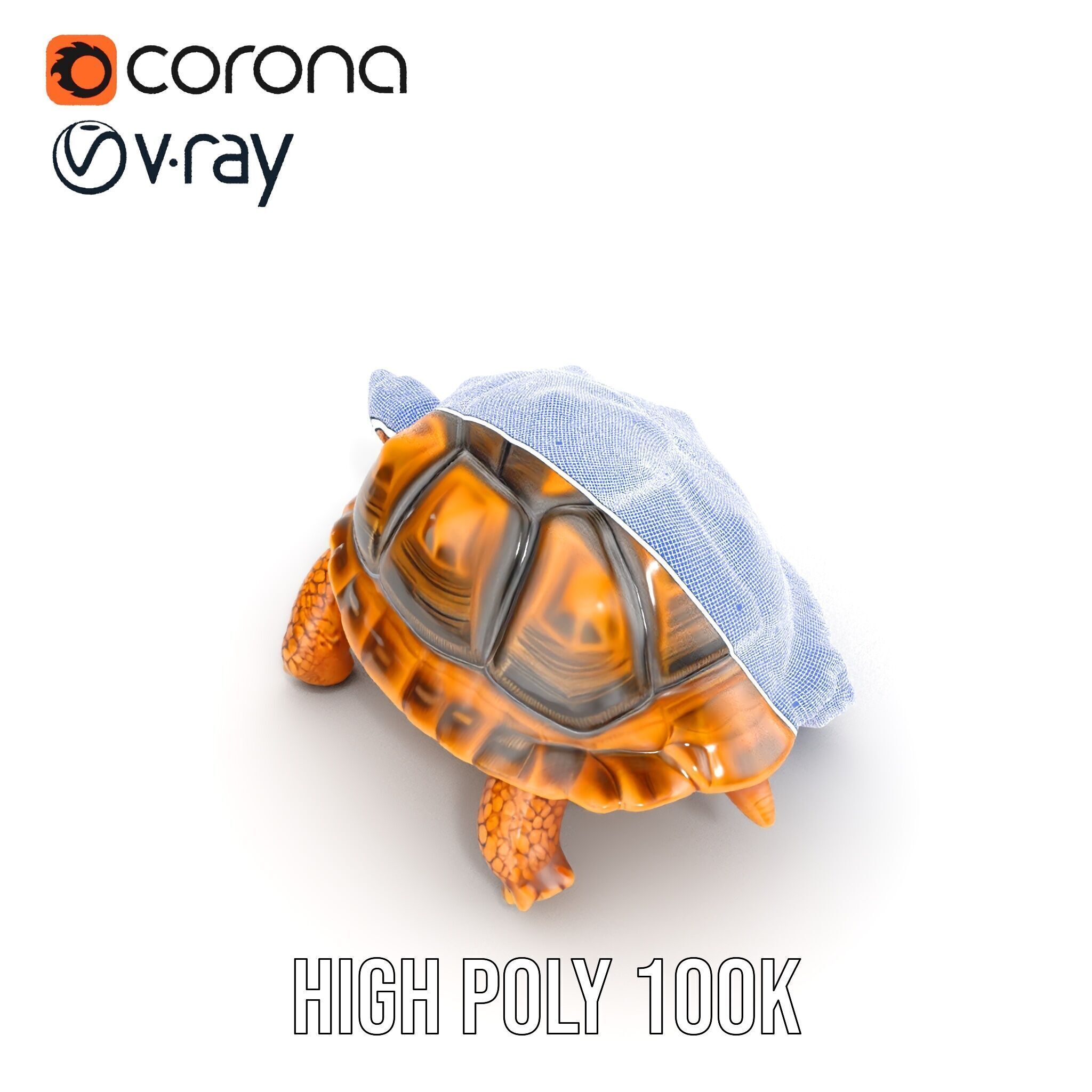 Realistic Tortoise D Model Pack with Detailed Textures Low-poly 3D model_33