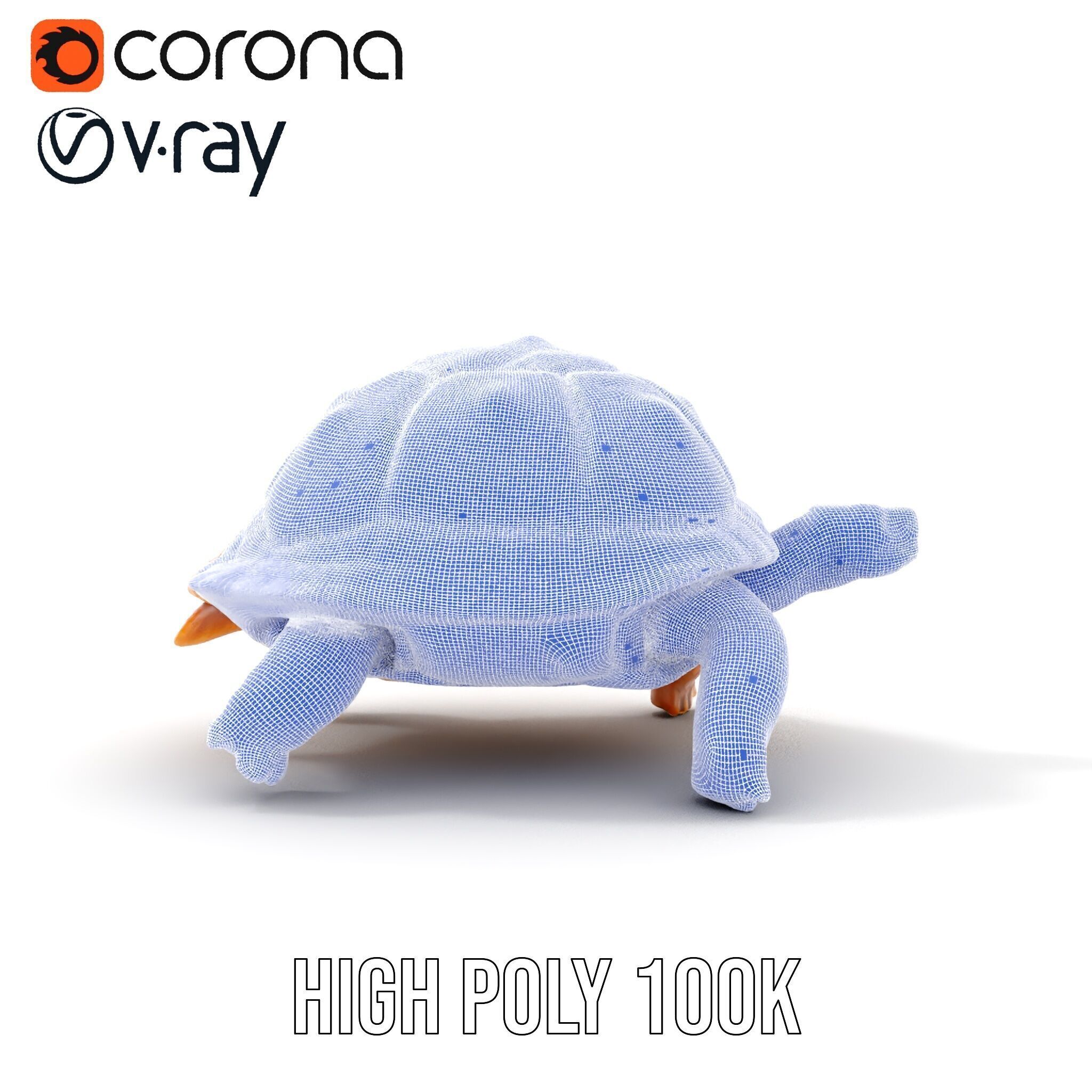 Realistic Tortoise D Model Pack with Detailed Textures Low-poly 3D model_37