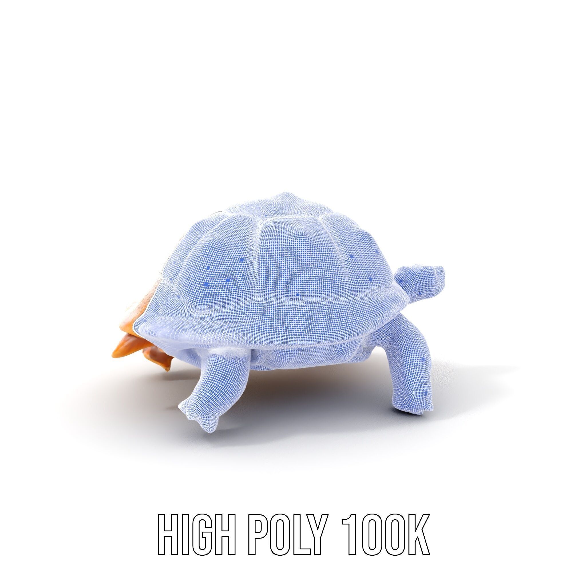Realistic Tortoise D Model Pack with Detailed Textures Low-poly 3D model_5