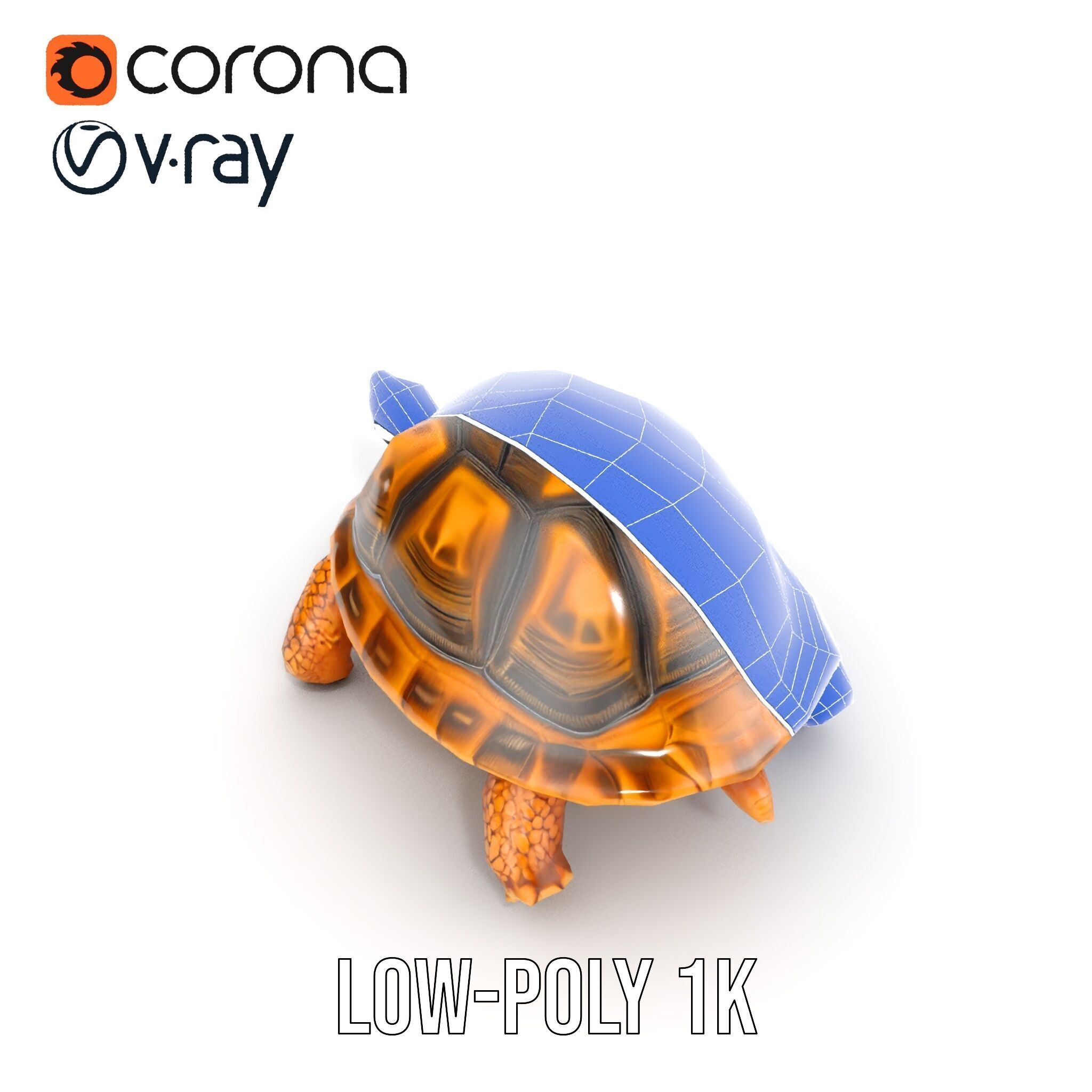 Realistic Tortoise D Model Pack with Detailed Textures Low-poly 3D model_17