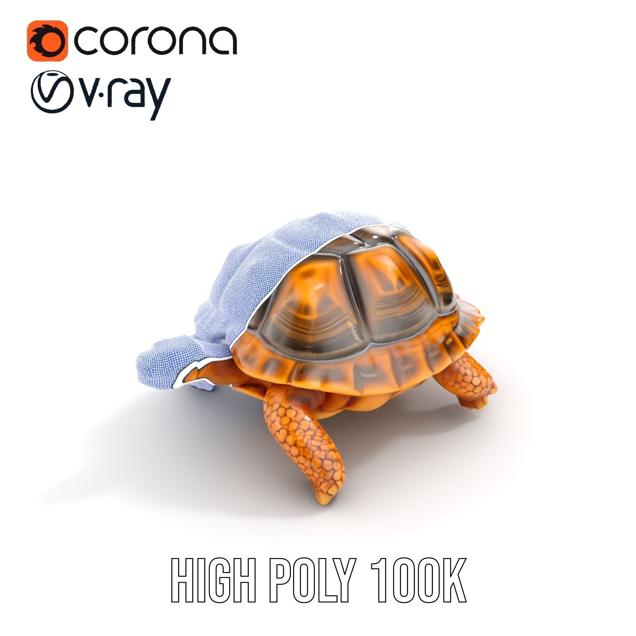 Realistic Tortoise D Model Pack with Detailed Textures Low-poly 3D model_30