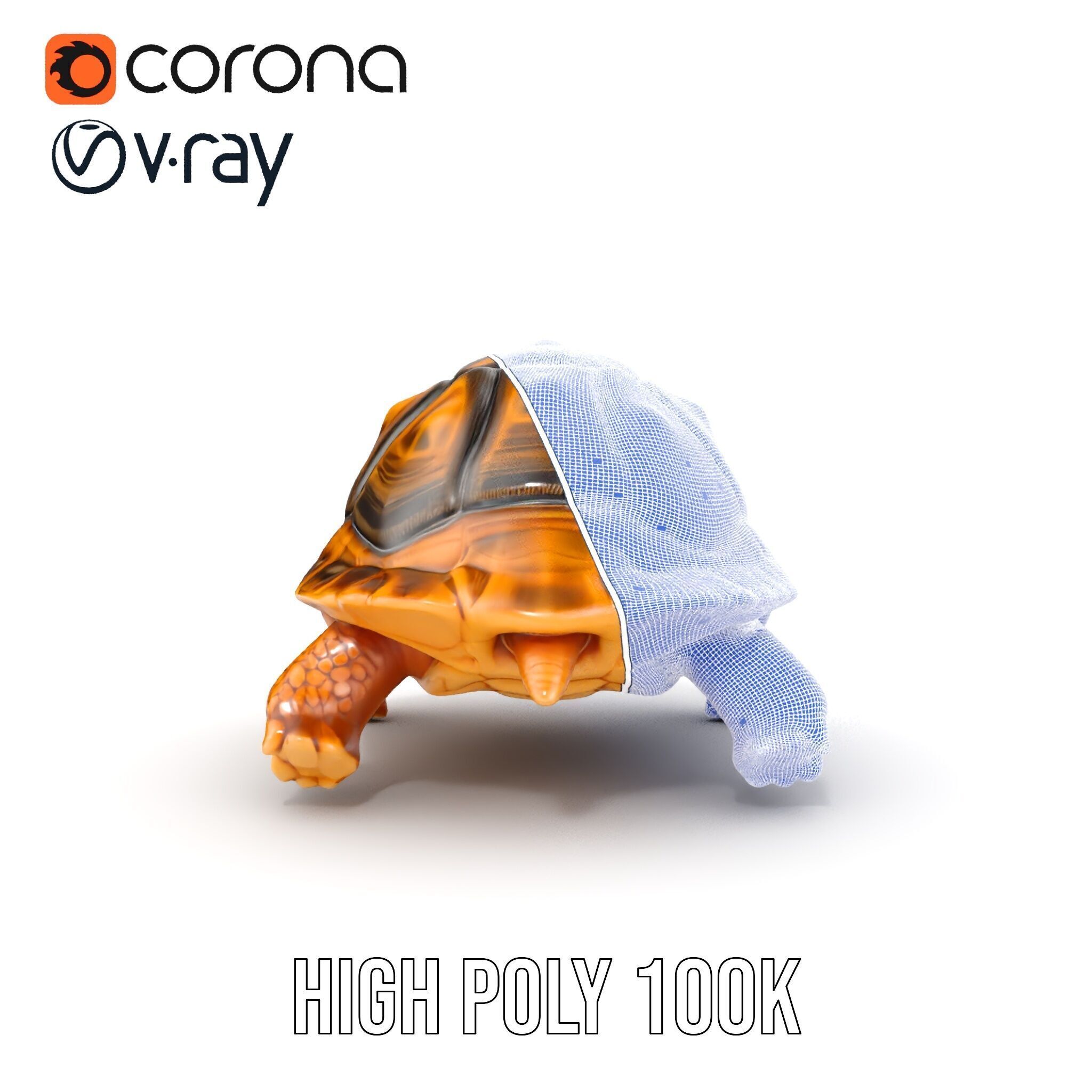 Realistic Tortoise D Model Pack with Detailed Textures Low-poly 3D model_39