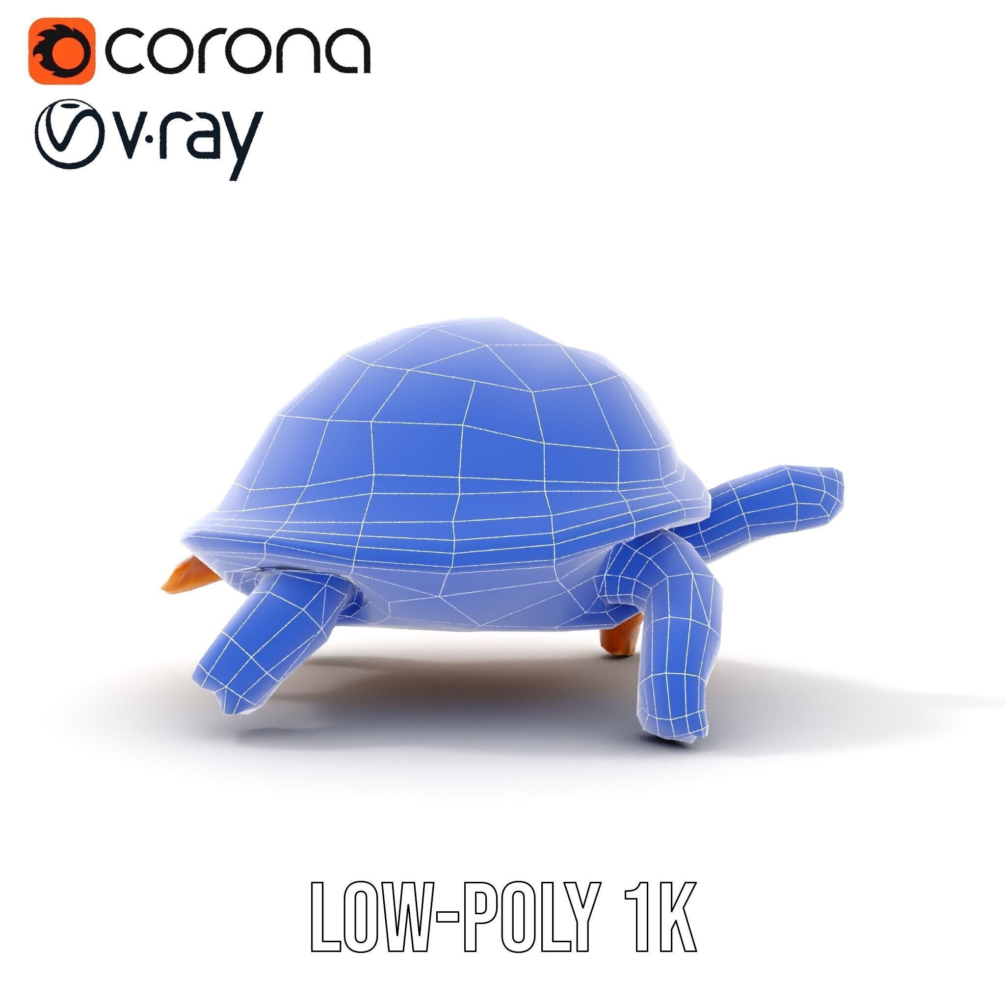 Realistic Tortoise D Model Pack with Detailed Textures Low-poly 3D model_24