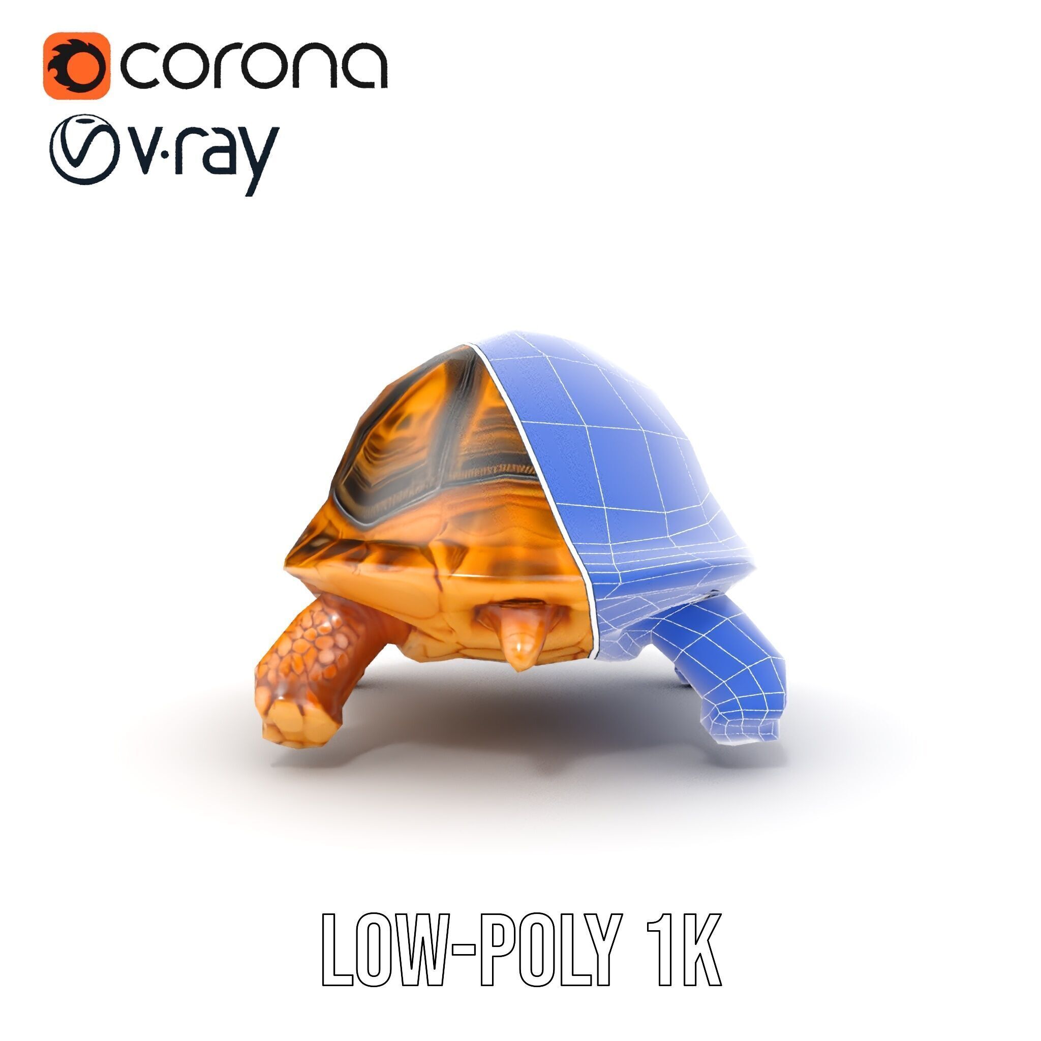 Realistic Tortoise D Model Pack with Detailed Textures Low-poly 3D model_21