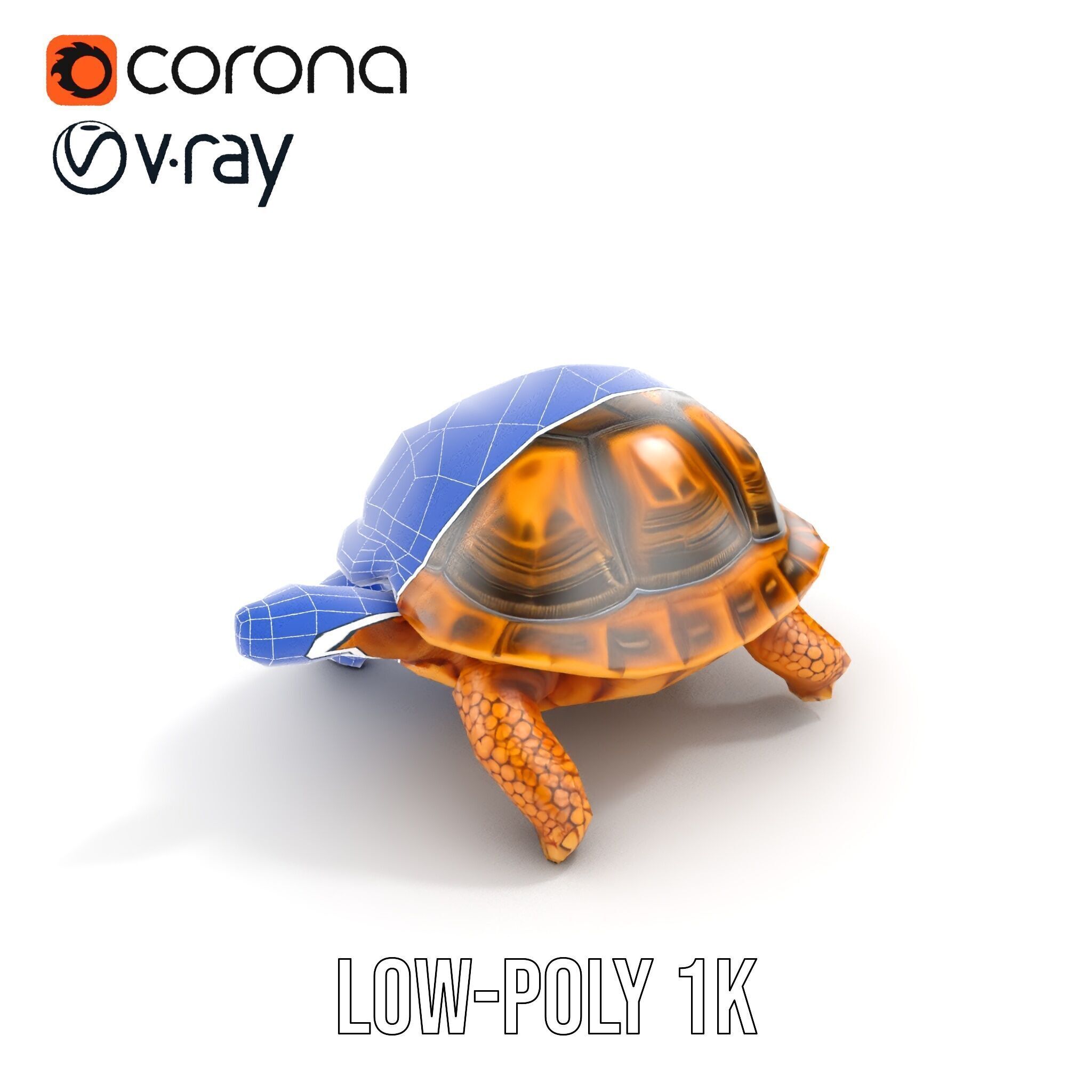 Realistic Tortoise D Model Pack with Detailed Textures Low-poly 3D model_19