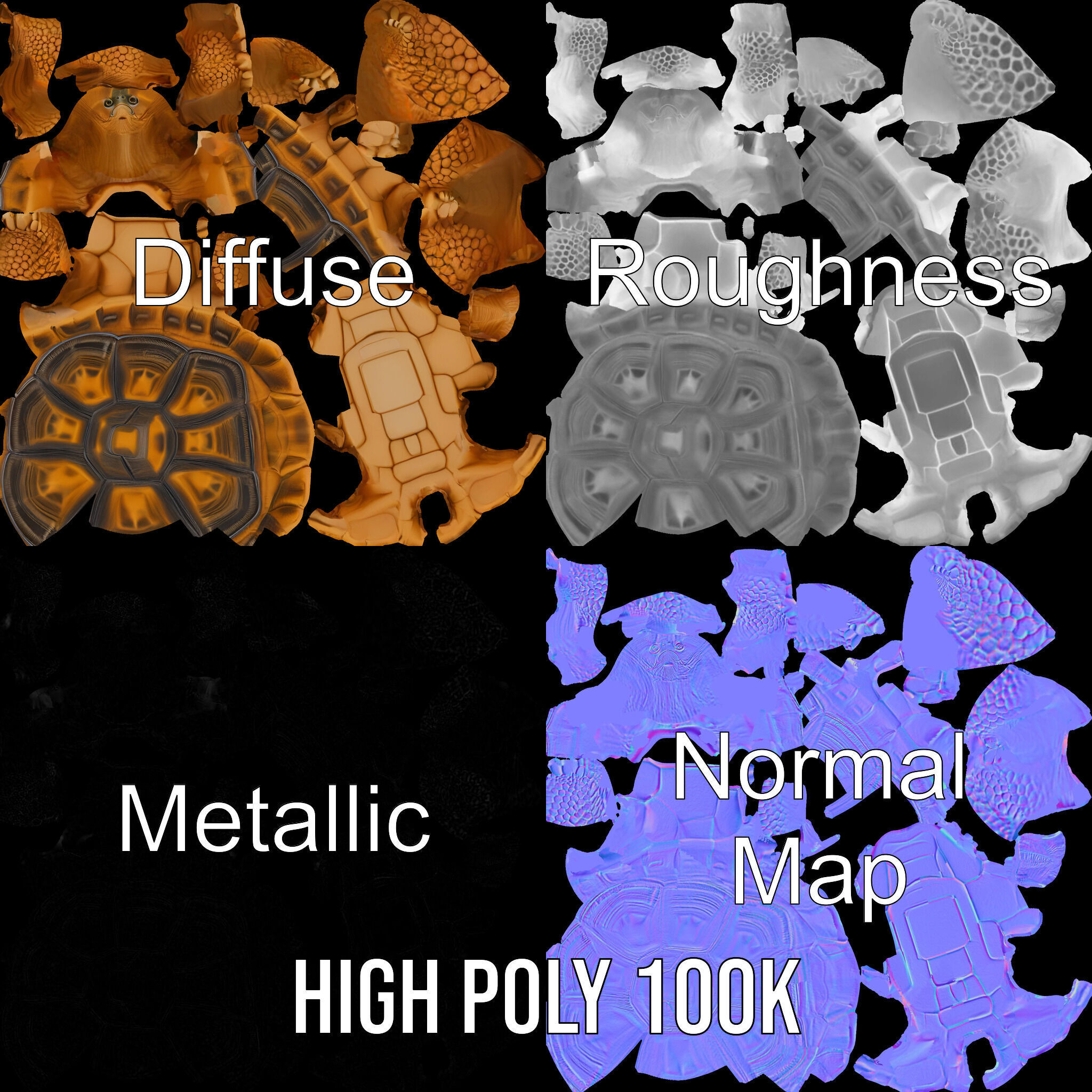 Realistic Tortoise D Model Pack with Detailed Textures Low-poly 3D model_4