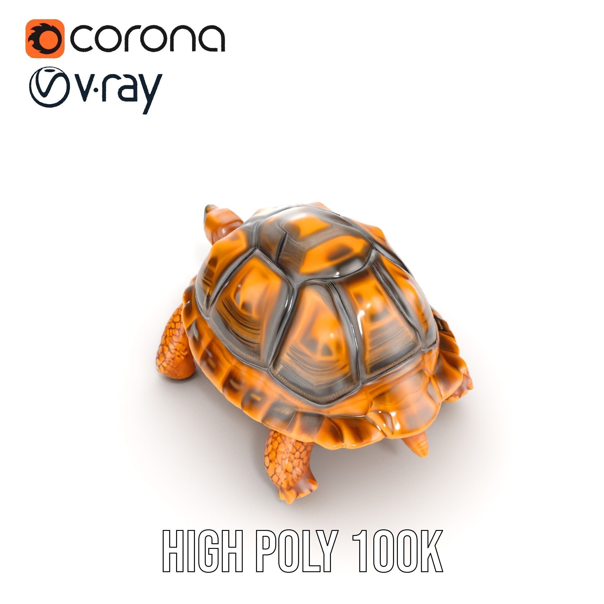 Realistic Tortoise D Model Pack with Detailed Textures Low-poly 3D model_25