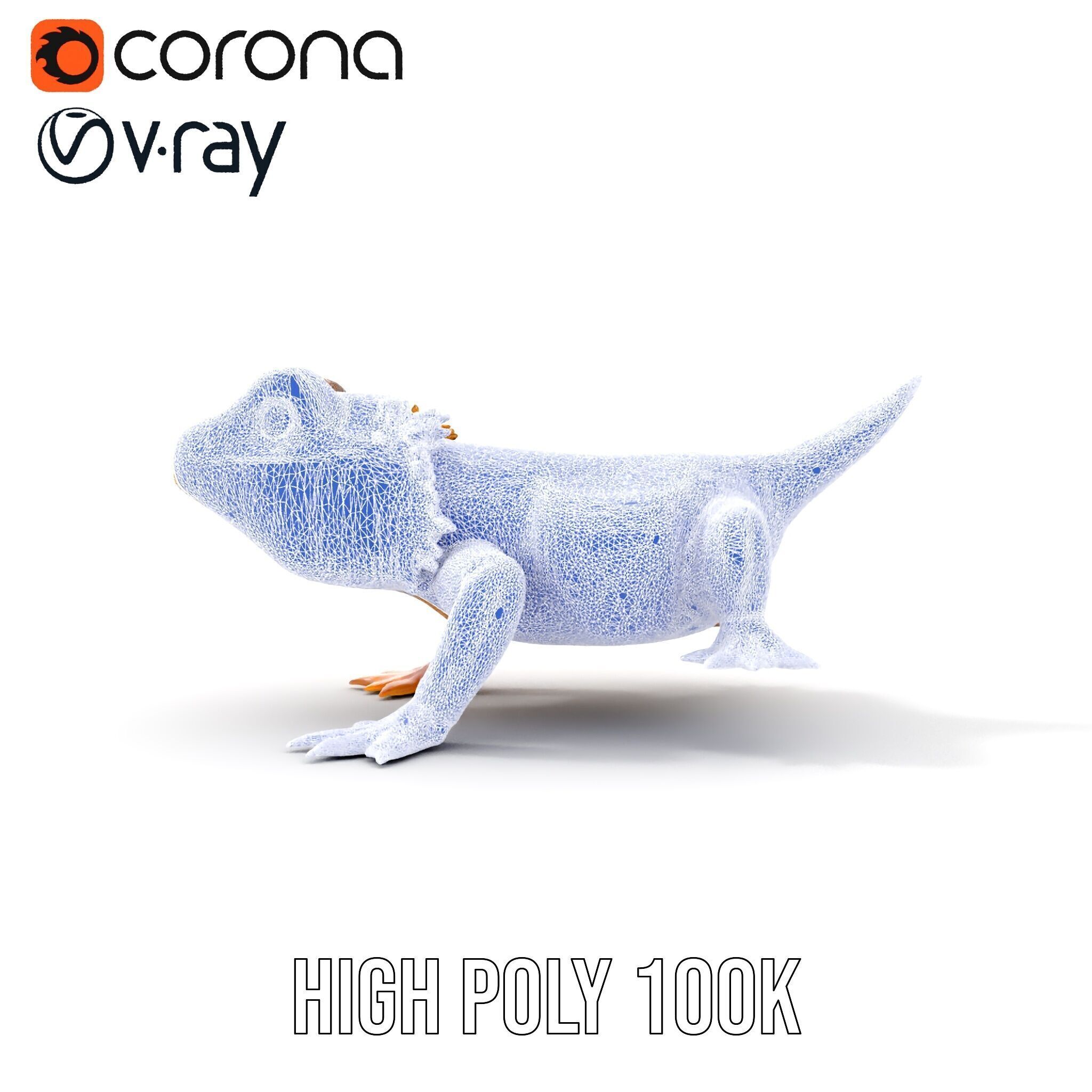 Bearded Lizard Model Pack with Detailed Textures Low-poly 3D model_32