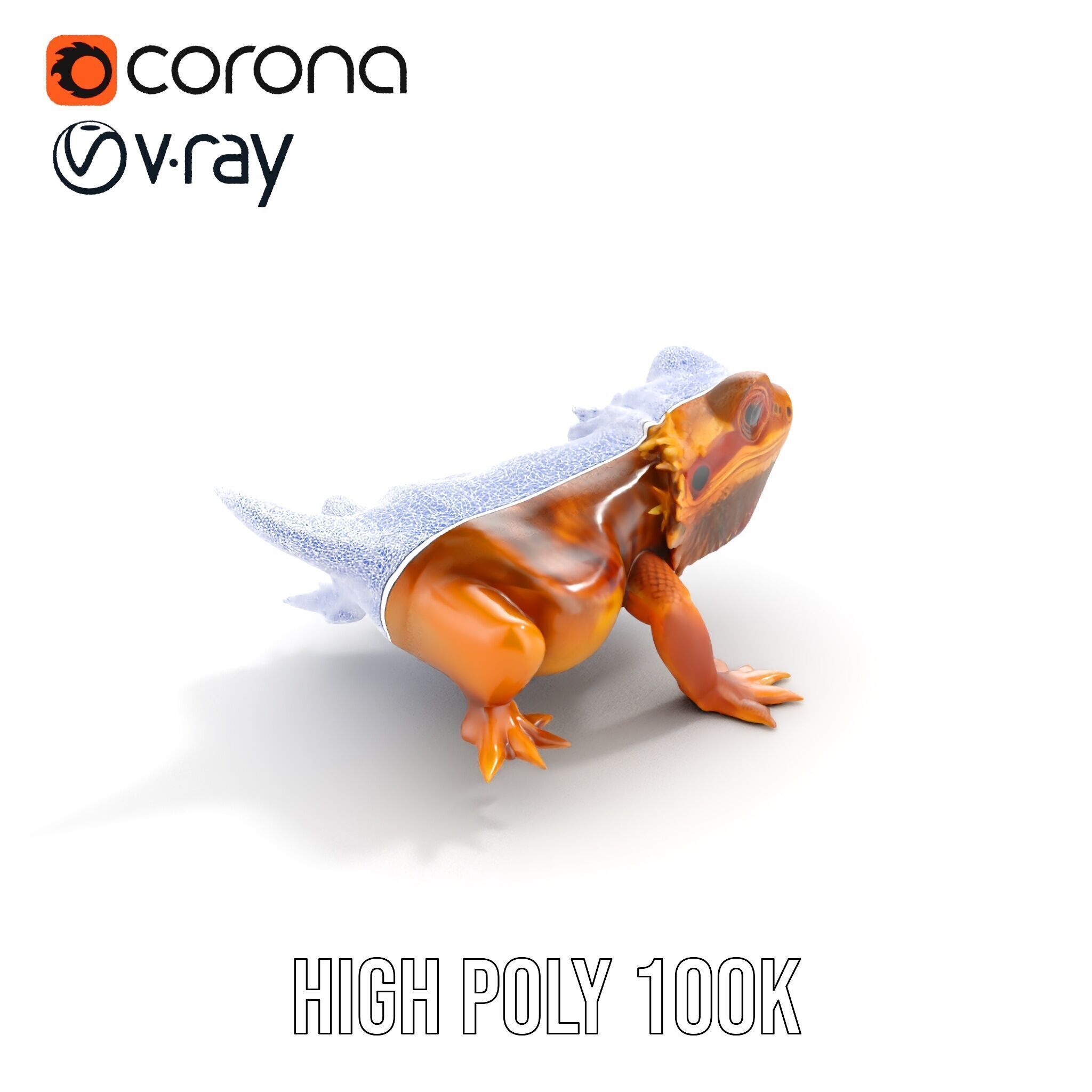 Bearded Lizard Model Pack with Detailed Textures Low-poly 3D model_28