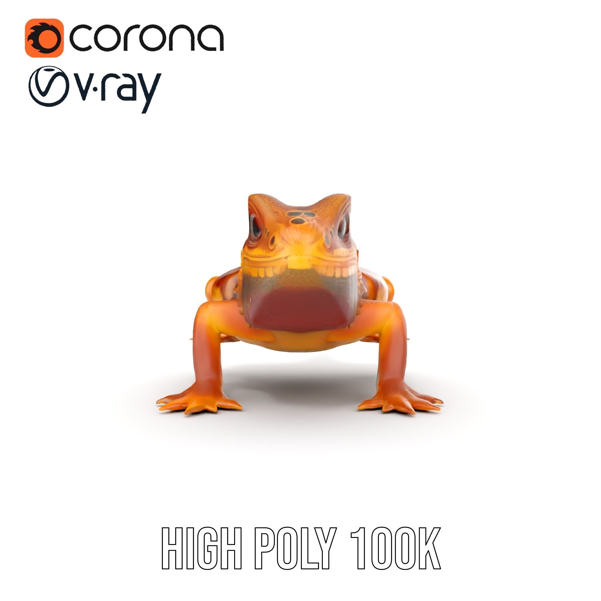 Bearded Lizard Model Pack with Detailed Textures Low-poly 3D model_14