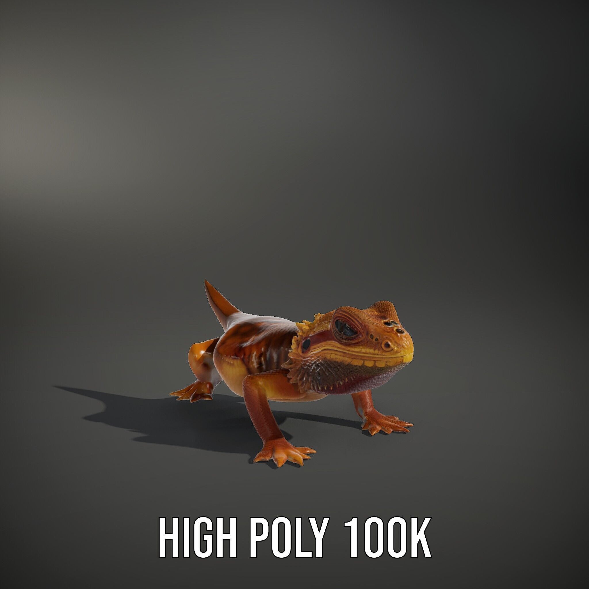 Bearded Lizard Model Pack with Detailed Textures Low-poly 3D model_9