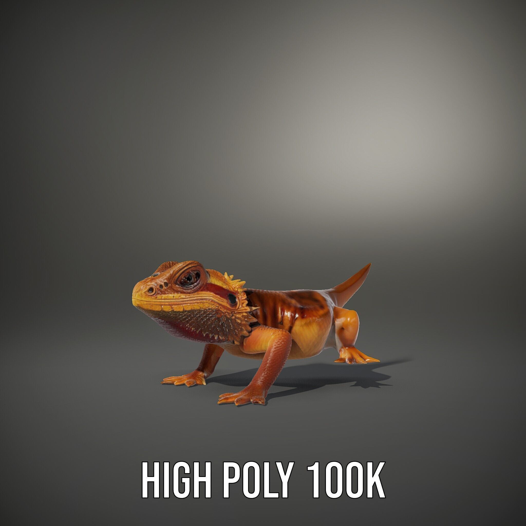 Bearded Lizard Model Pack with Detailed Textures Low-poly 3D model_12