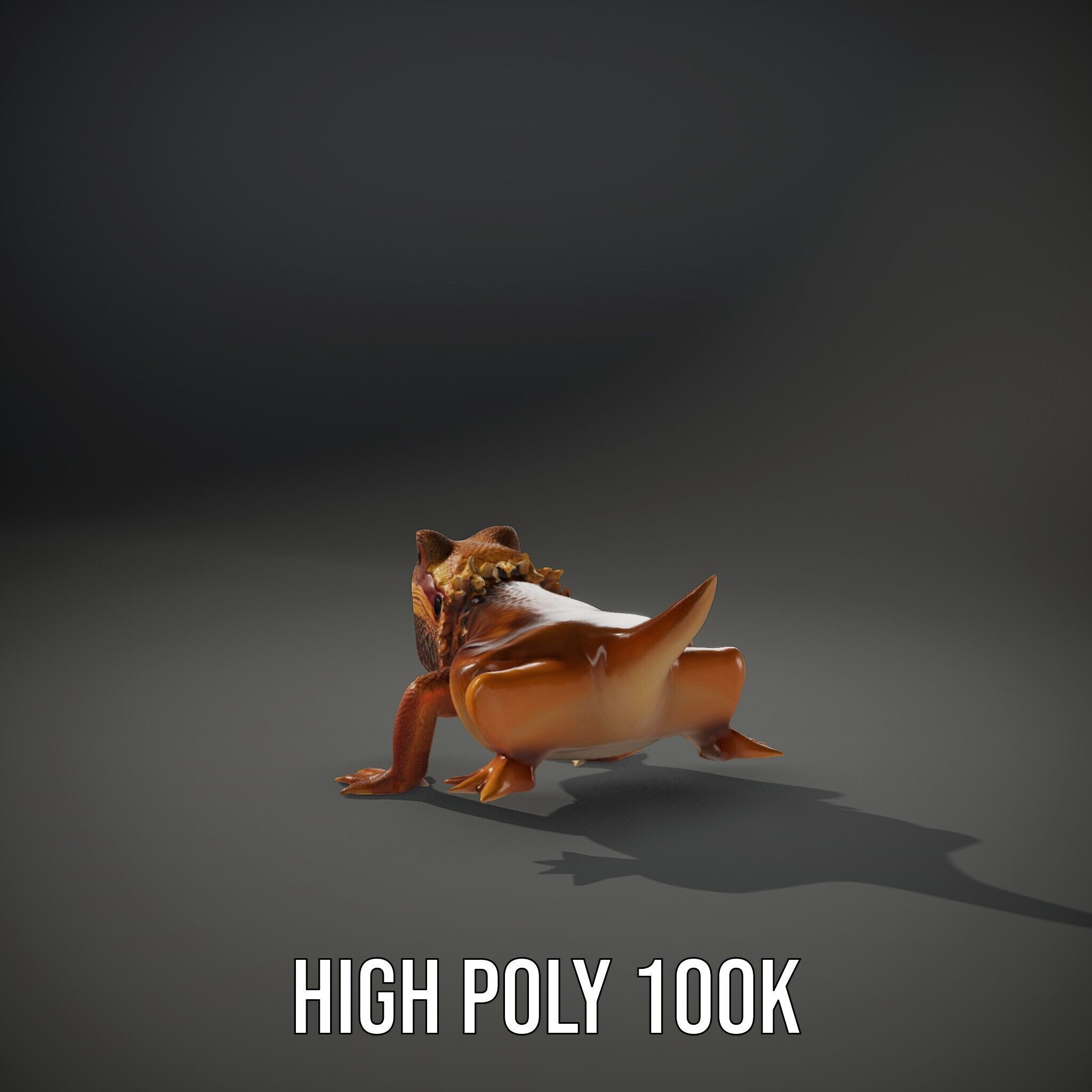 Bearded Lizard Model Pack with Detailed Textures Low-poly 3D model_15