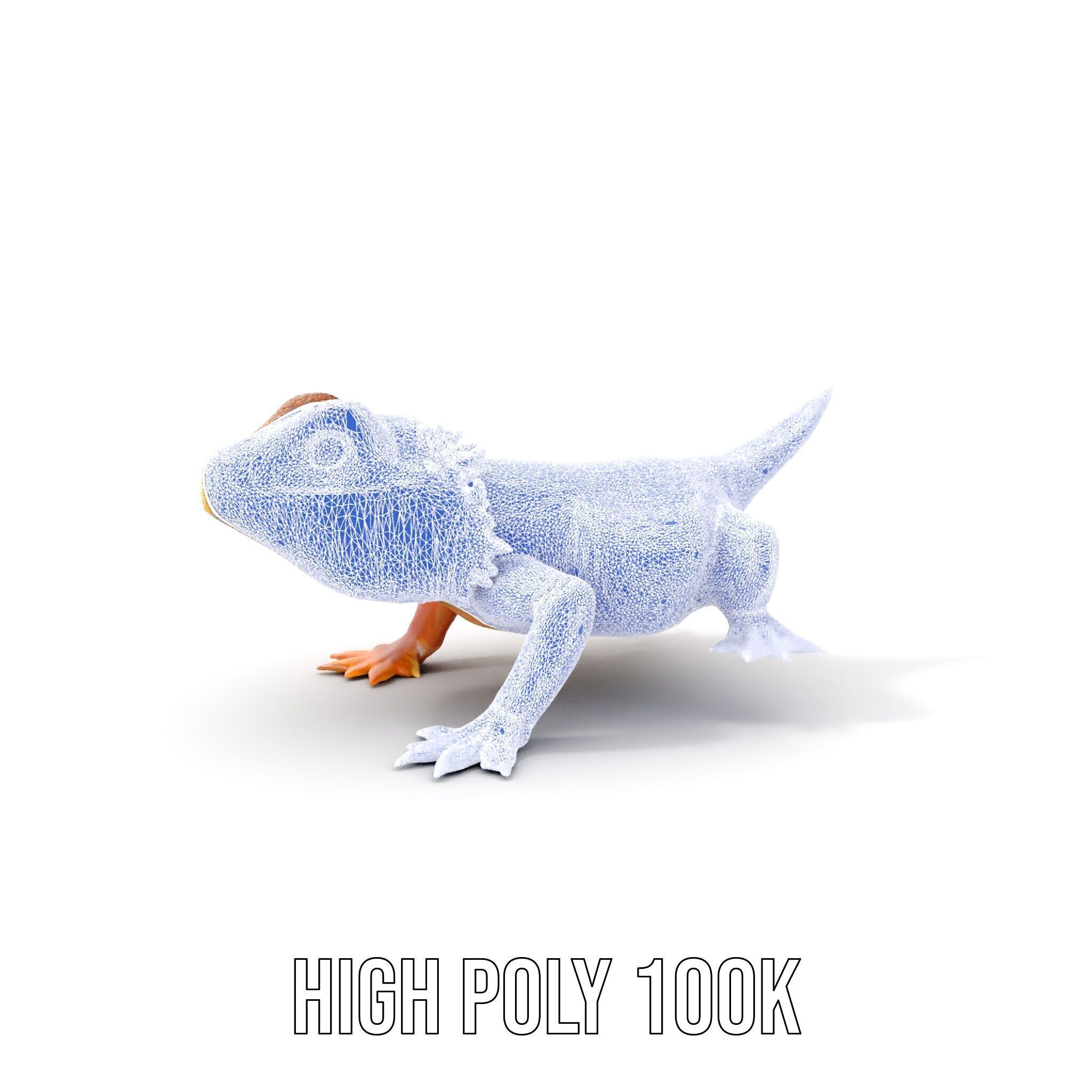 Bearded Lizard Model Pack with Detailed Textures Low-poly 3D model_29