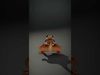 Bearded Lizard Model Pack with Detailed Textures Low-poly 3D model_2