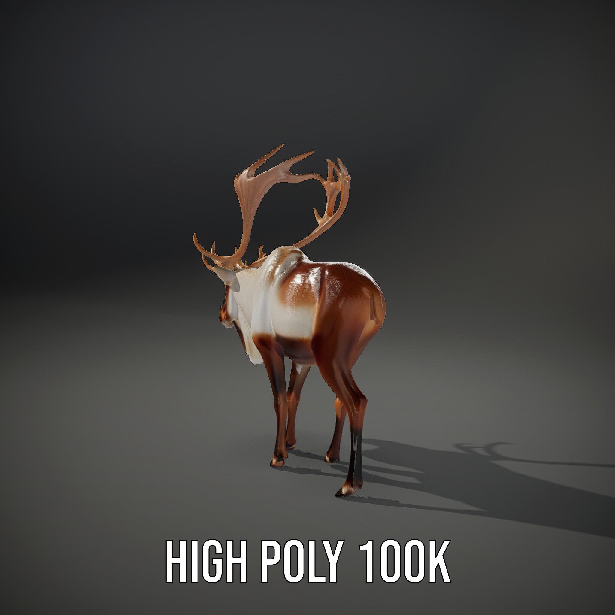 Detailed Reindeer Model Pack Low-poly 3D model_12