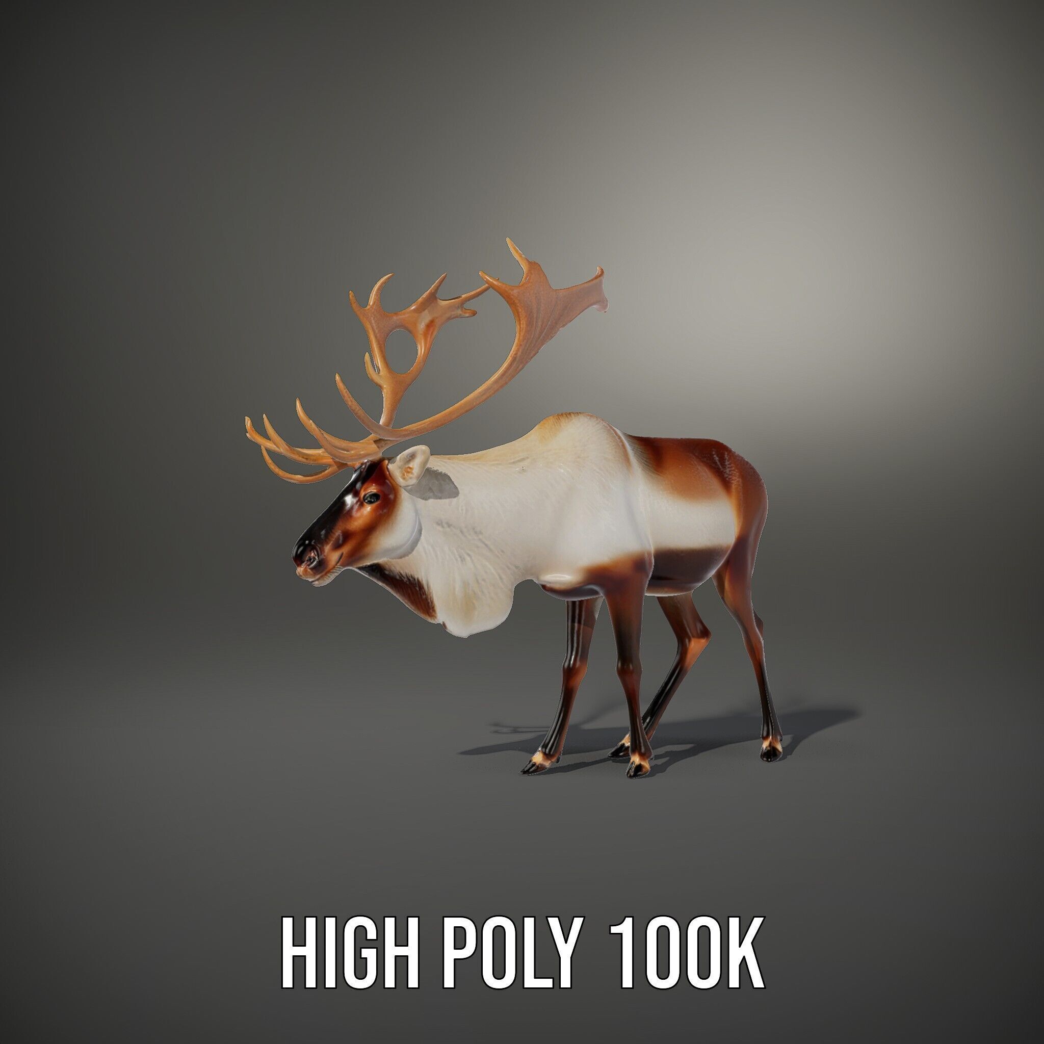 Detailed Reindeer Model Pack Low-poly 3D model_15