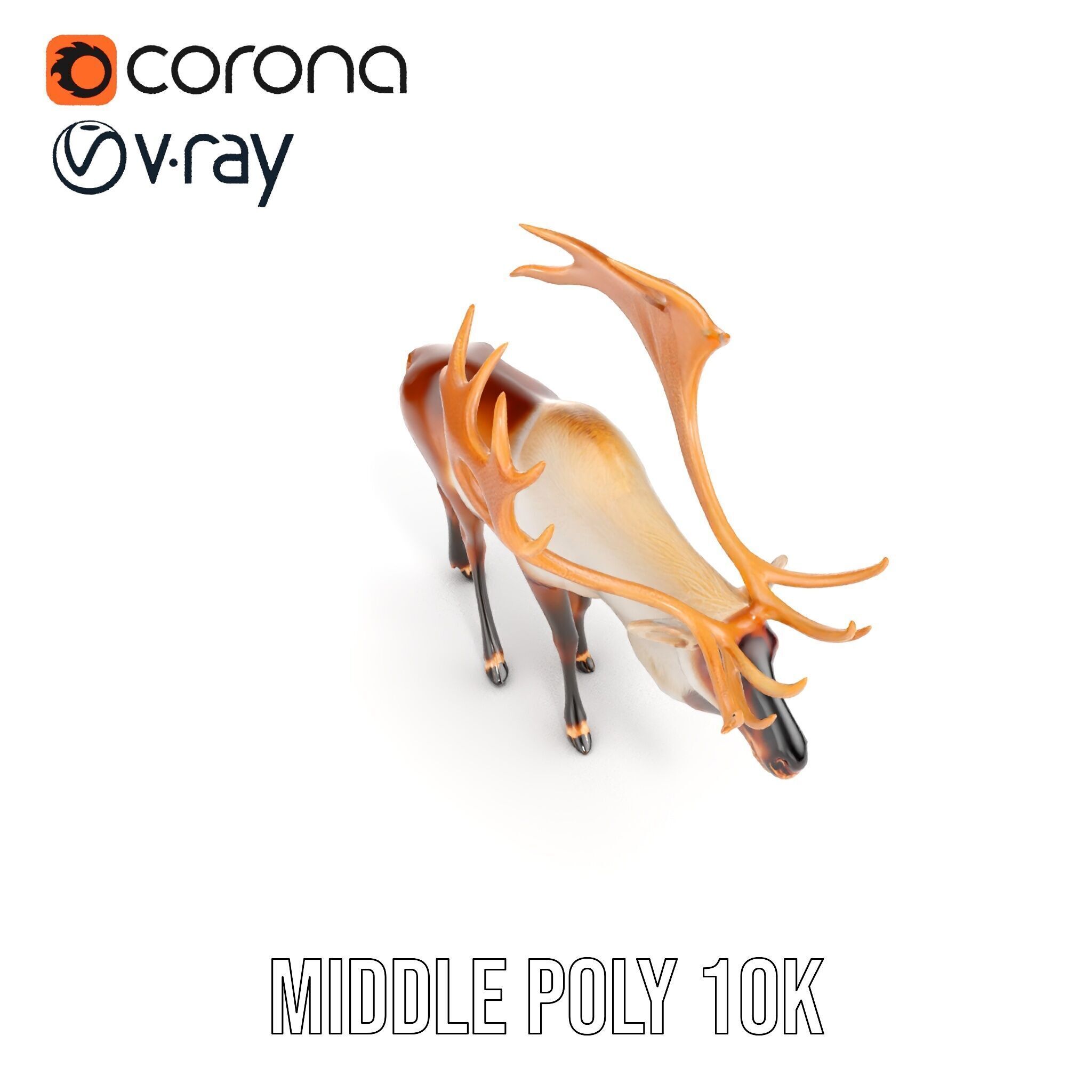 Detailed Reindeer Model Pack Low-poly 3D model_23