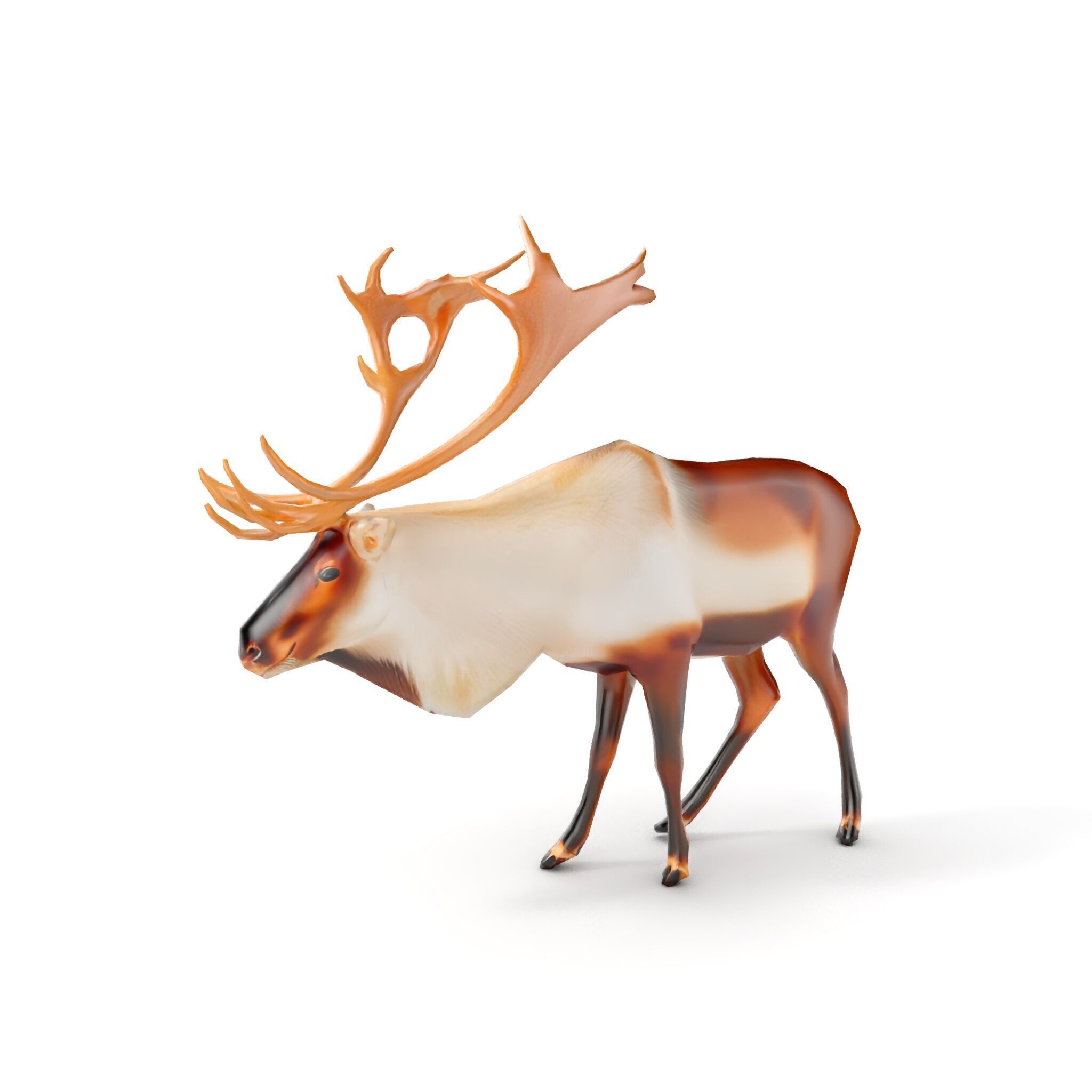 Detailed Reindeer Model Pack Low-poly 3D model_8