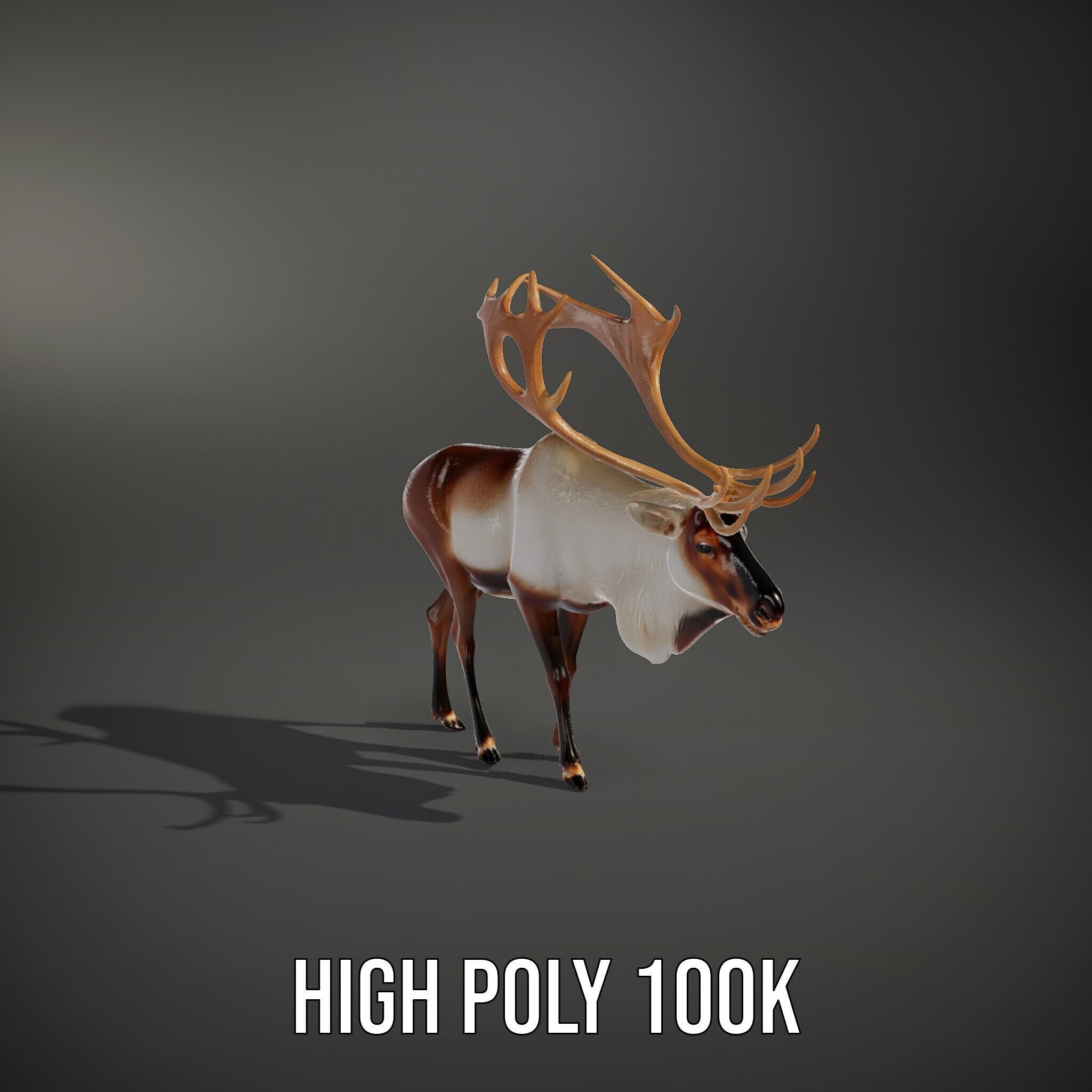 Detailed Reindeer Model Pack Low-poly 3D model_9