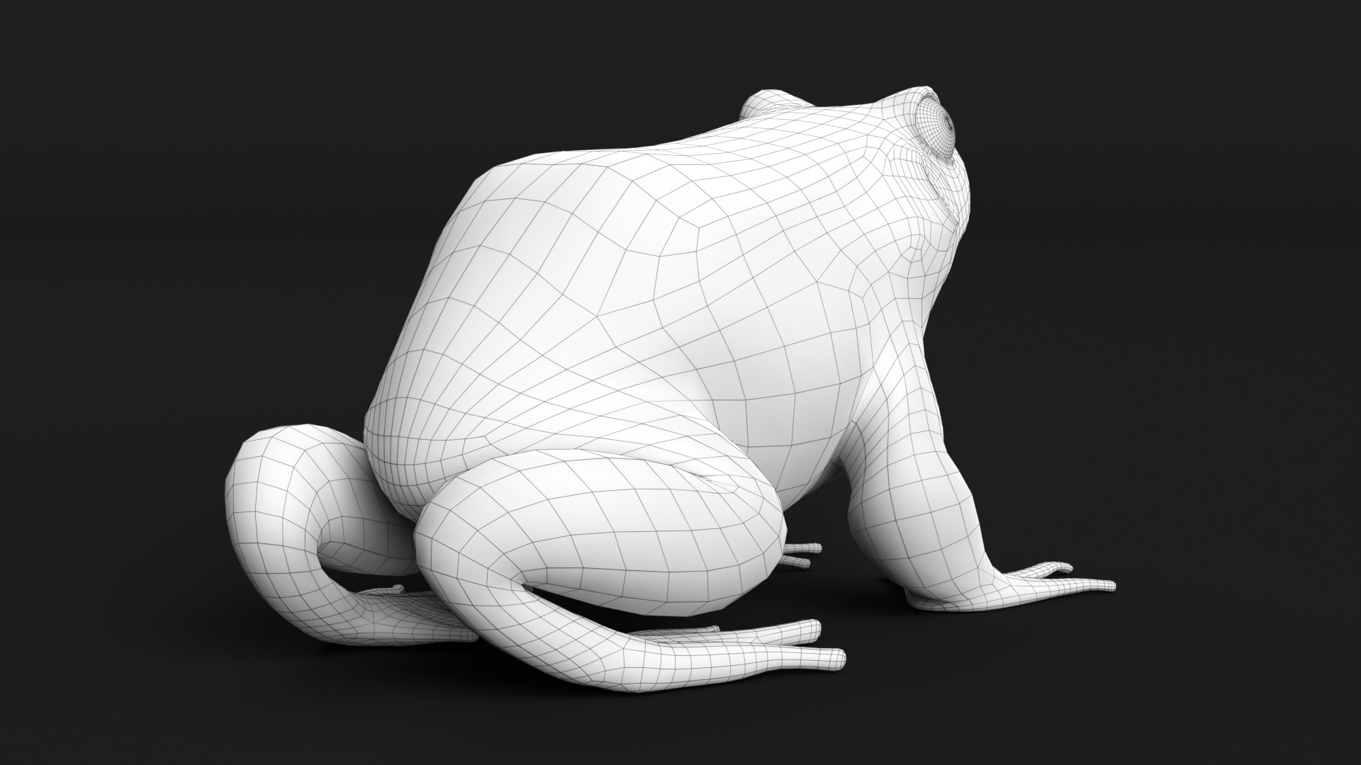 Bullfrog Low-poly 3D model_11