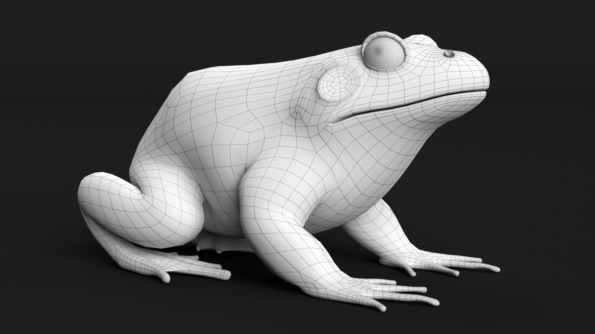 Bullfrog Low-poly 3D model_8