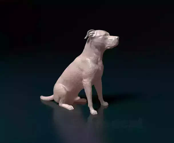 Pitbull 013 3D print model