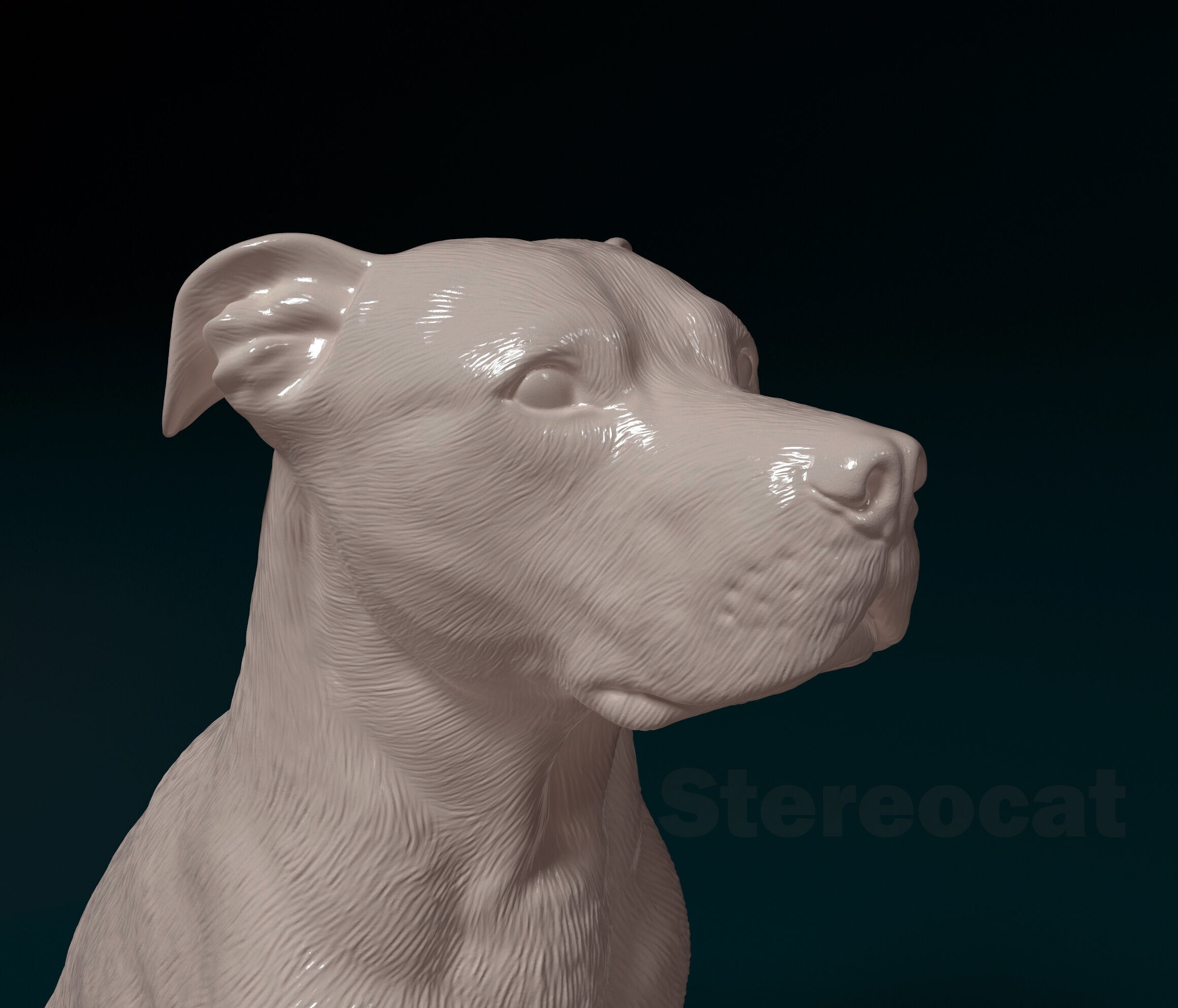 Pitbull 013 3D print model_4
