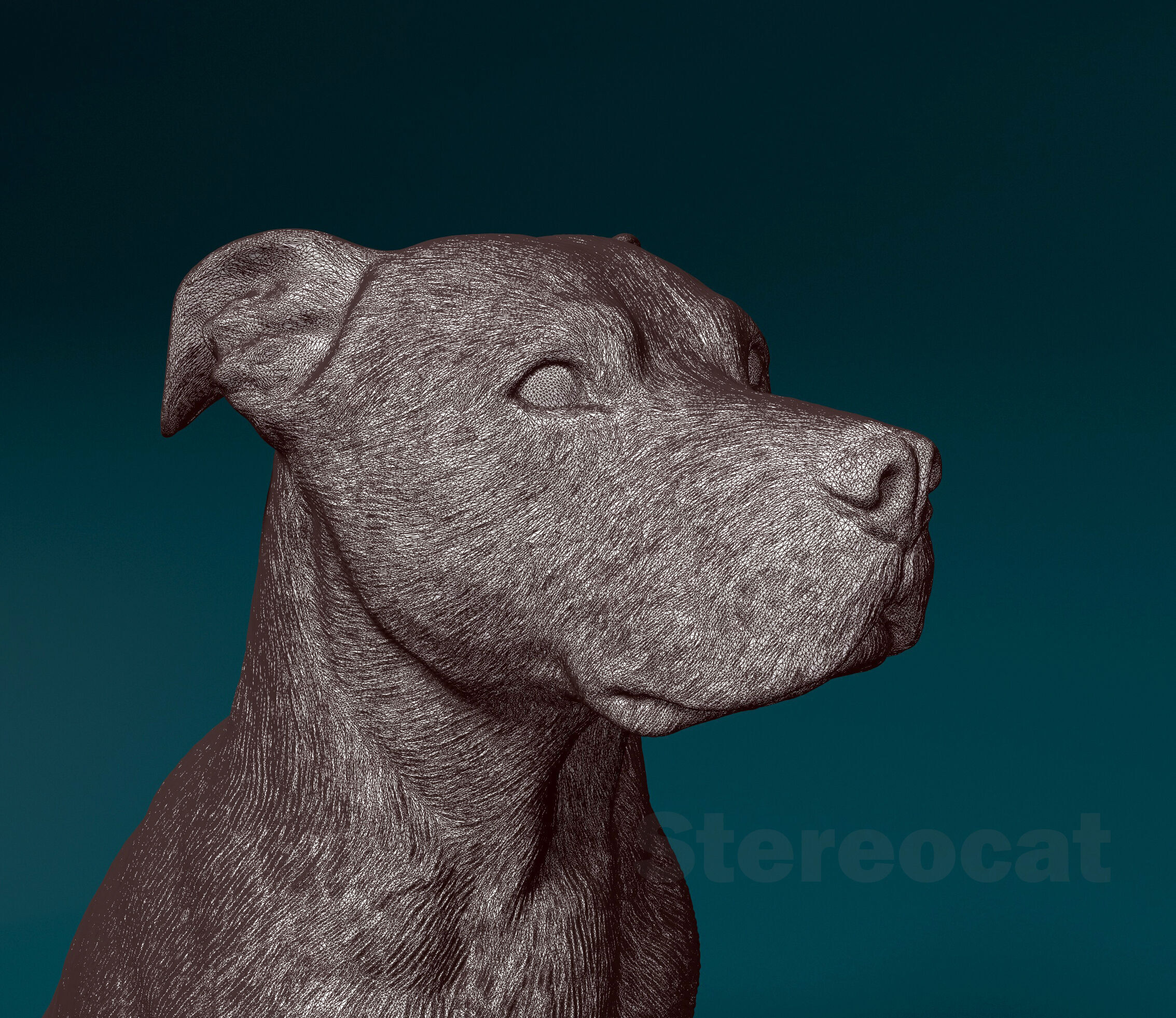 Pitbull 013 3D print model_5