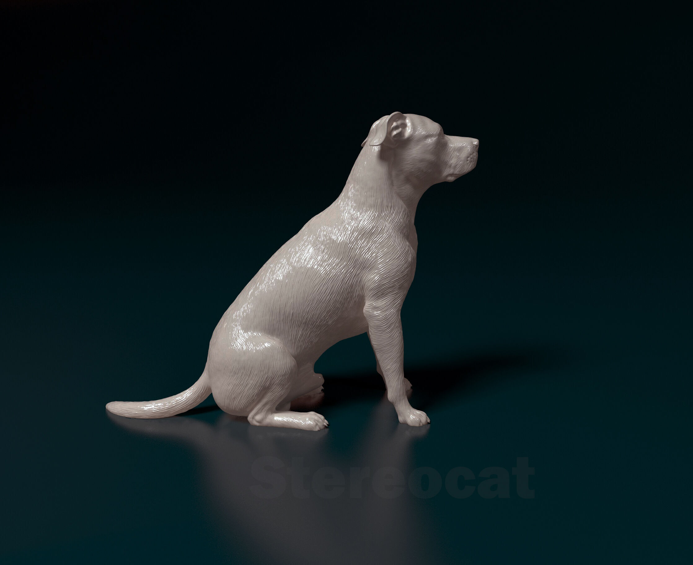 Pitbull 013 3D print model_1