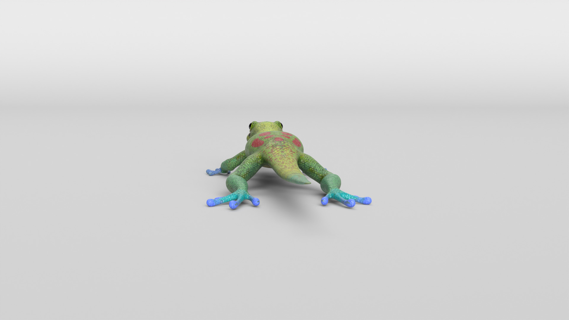 Gecko Low-poly 3D model_6