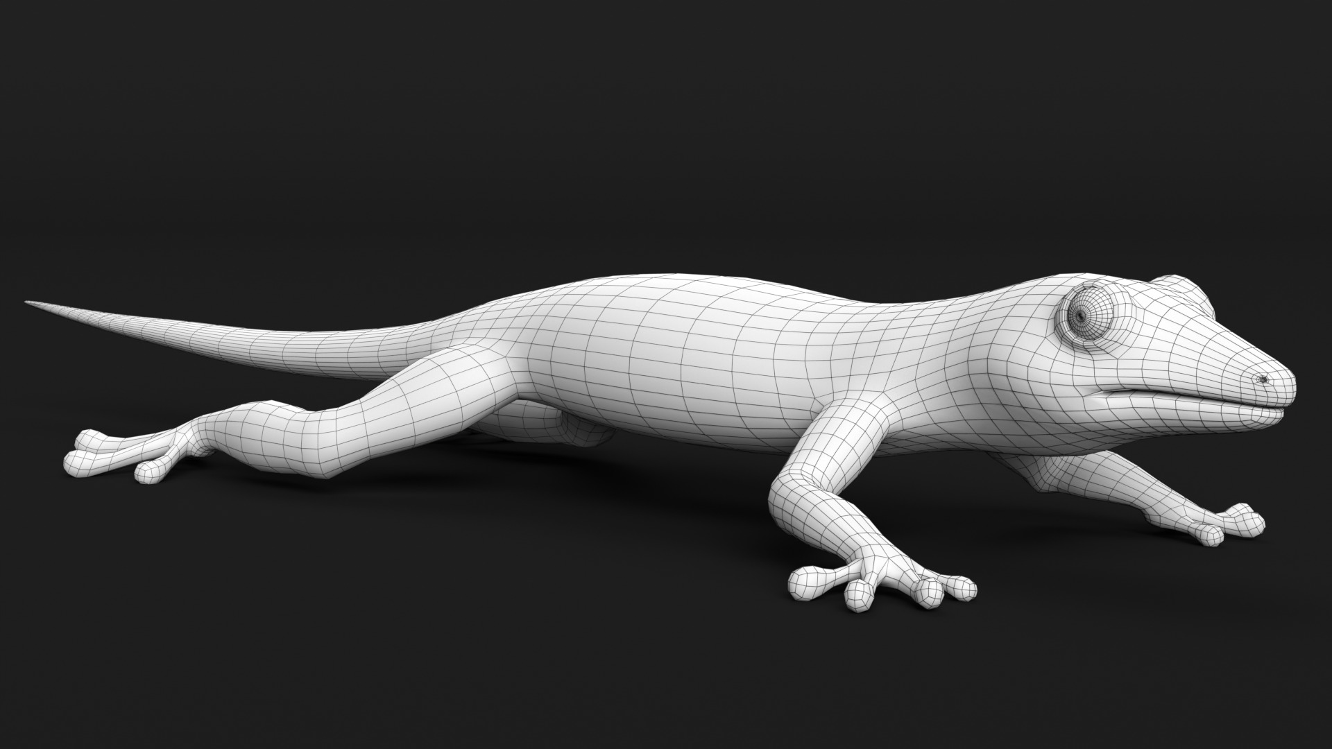Gecko Low-poly 3D model_10