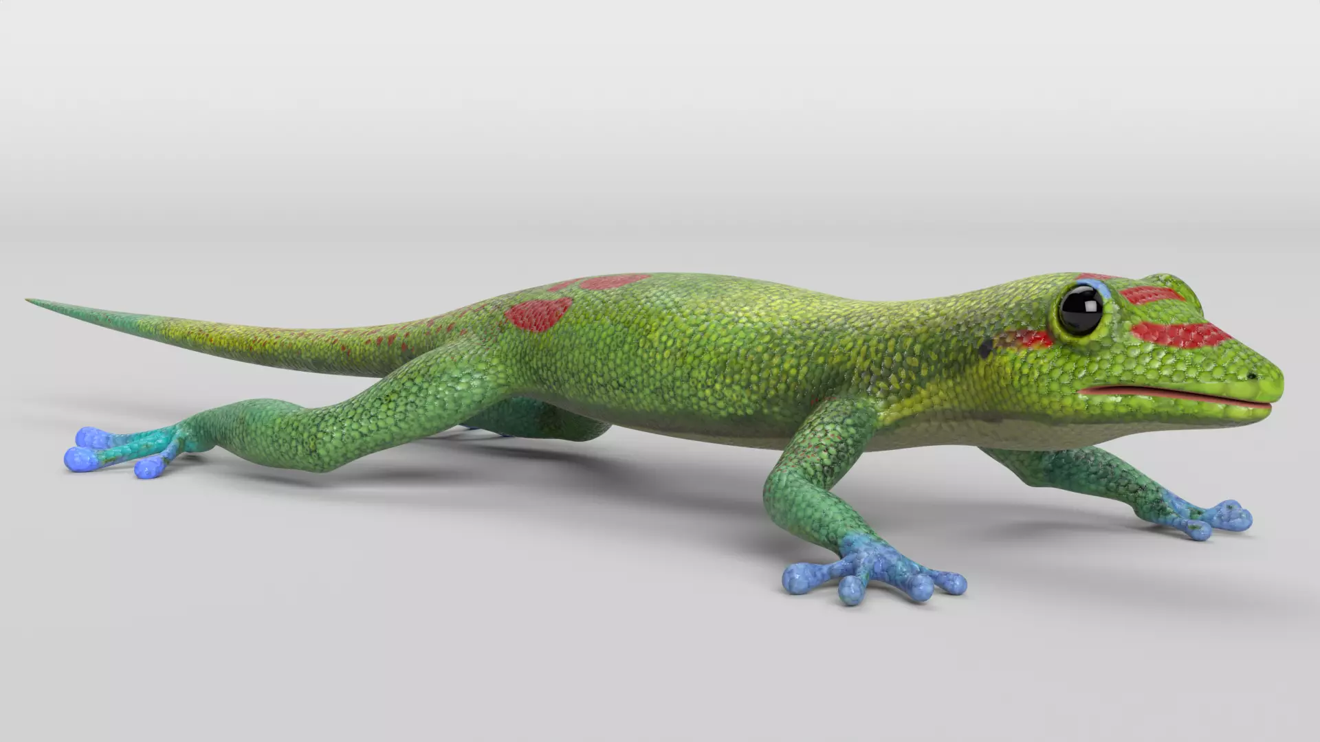 Gecko Low-poly 3D model_0
