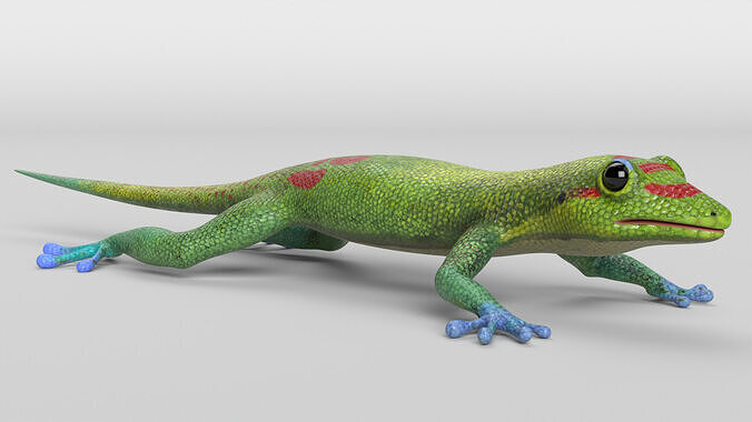 Gecko Low-poly 3D model