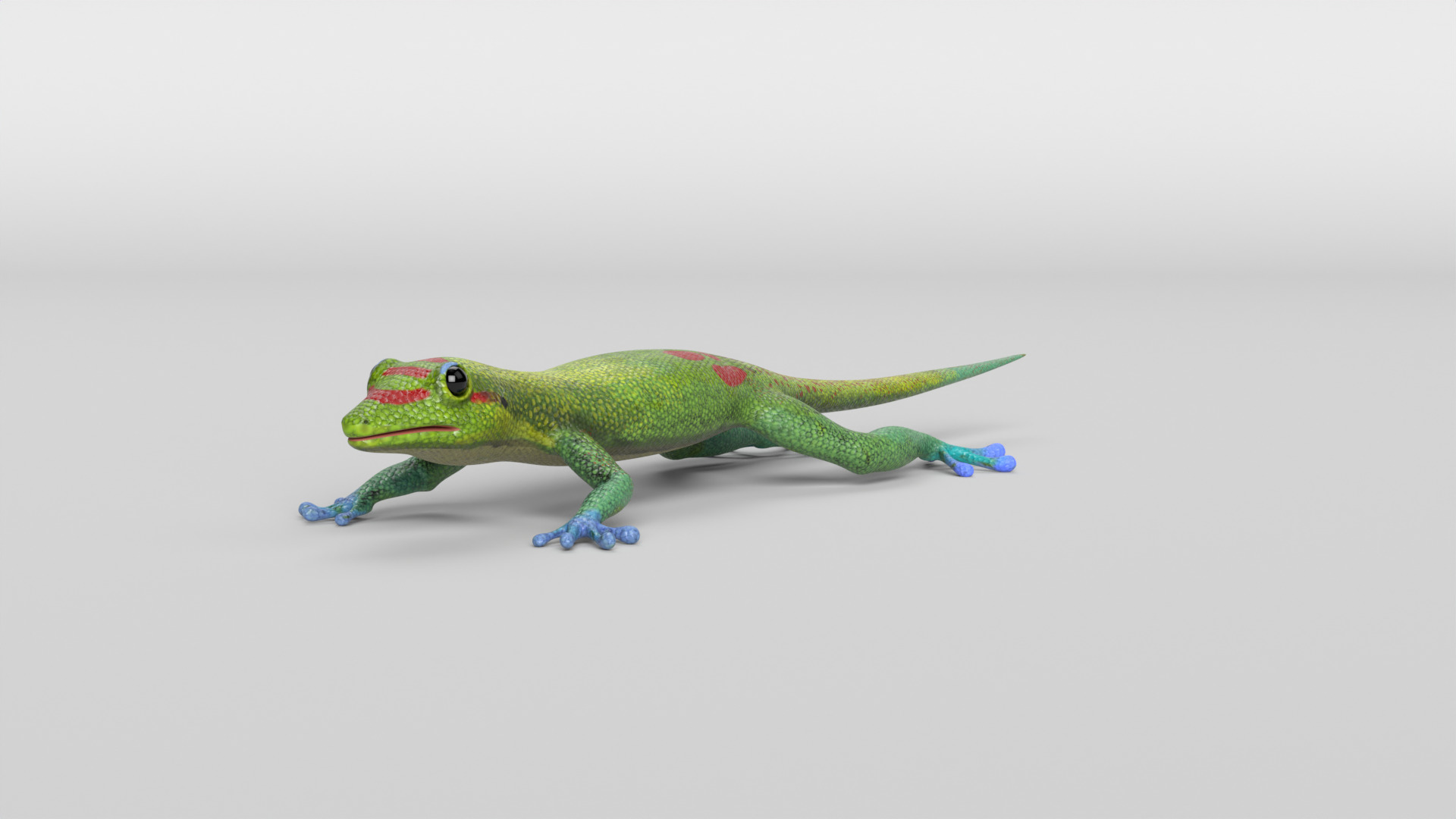 Gecko Low-poly 3D model_7