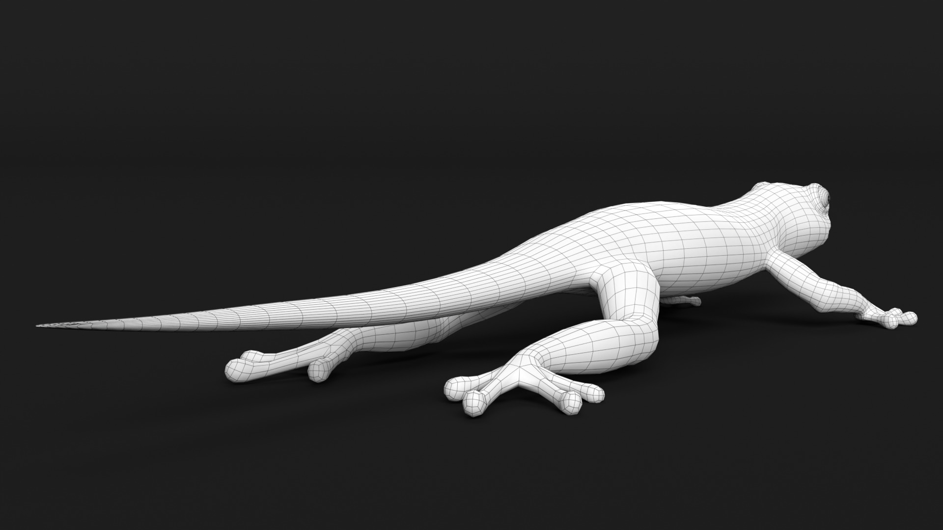 Gecko Low-poly 3D model_11