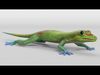 Gecko Low-poly 3D model_1