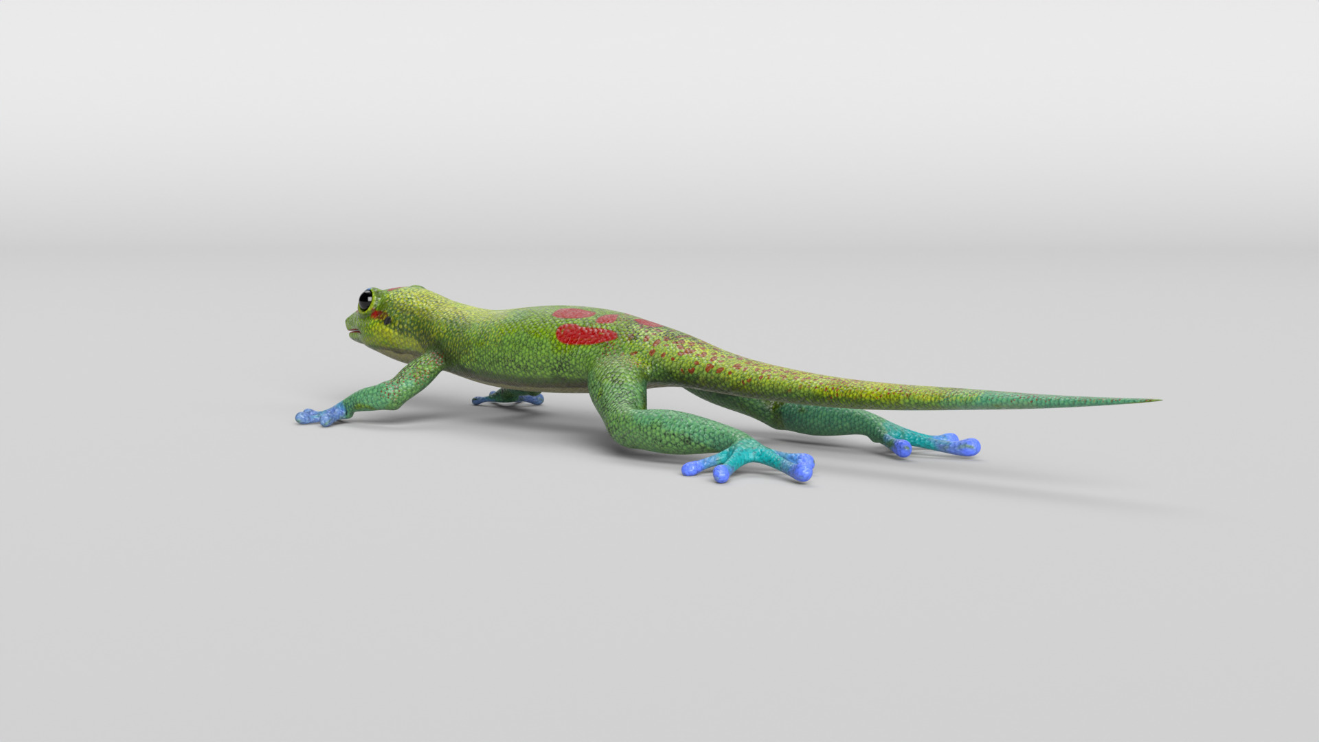Gecko Low-poly 3D model_4